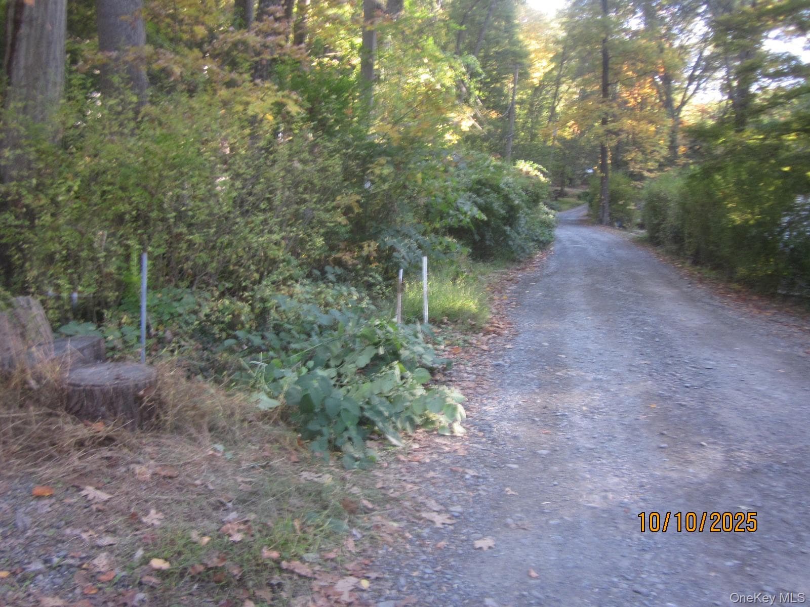 11 Woodland Circle thumbnail 19