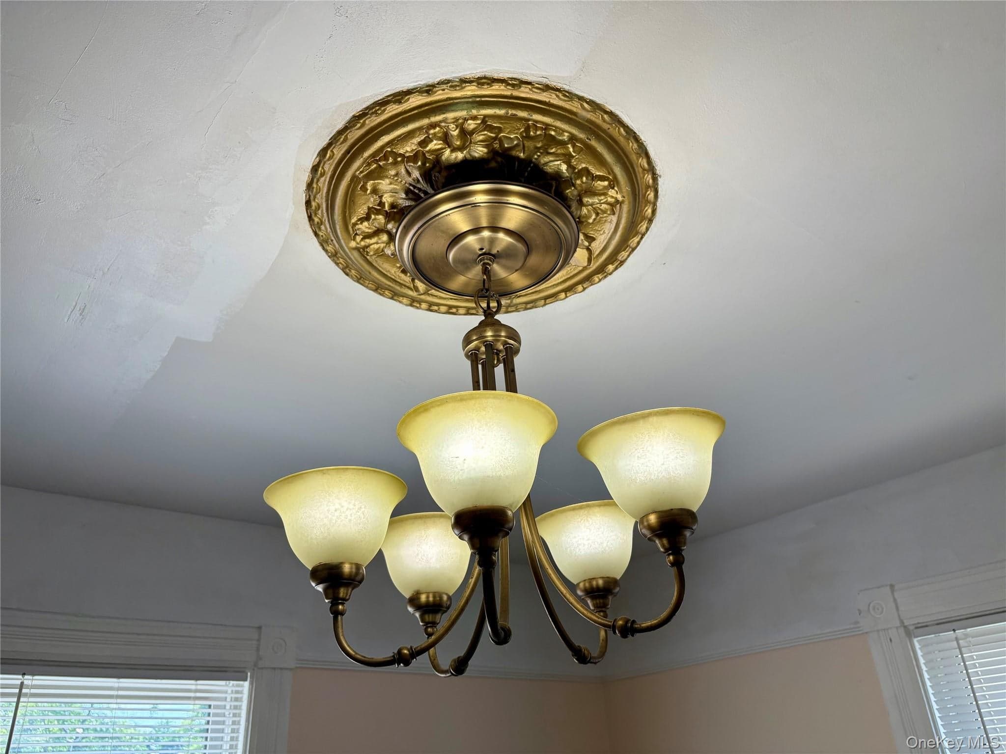 137 N Clinton Street thumbnail 12