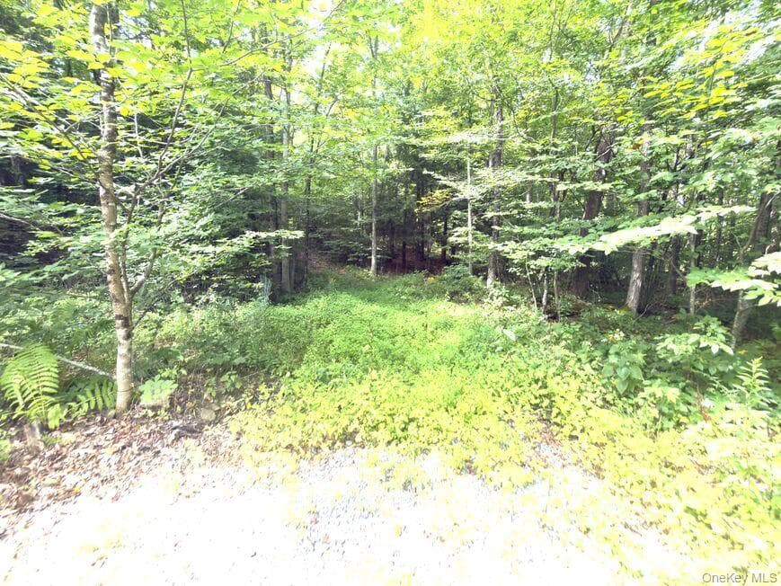 9362 Sthwy Rt 30 thumbnail 18