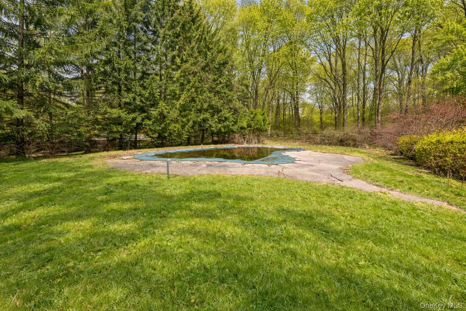 17 Briarwood Lane thumbnail 4