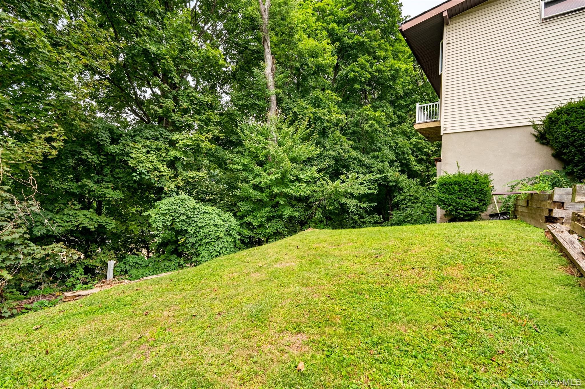 23 Howard Avenue thumbnail 49