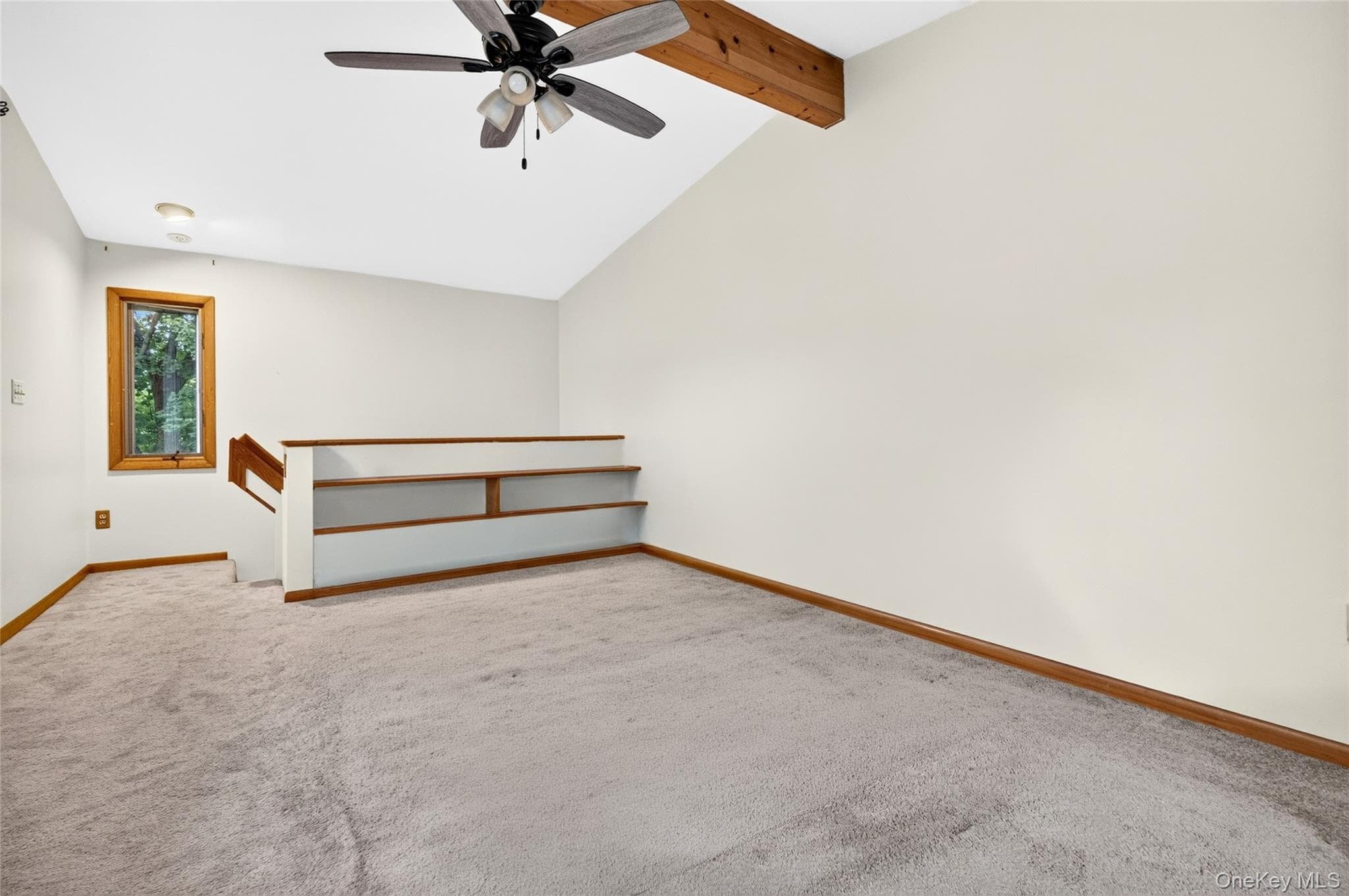 23 Howard Avenue thumbnail 37