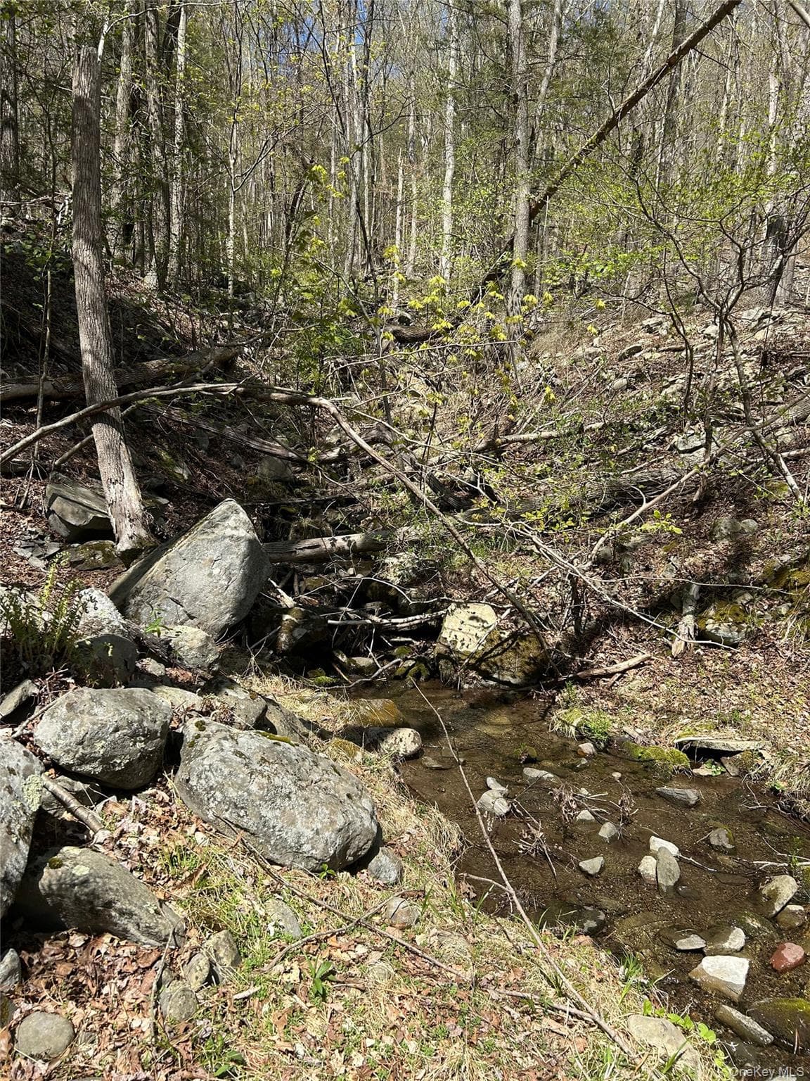 14 Hawk Mountain Drive thumbnail 20