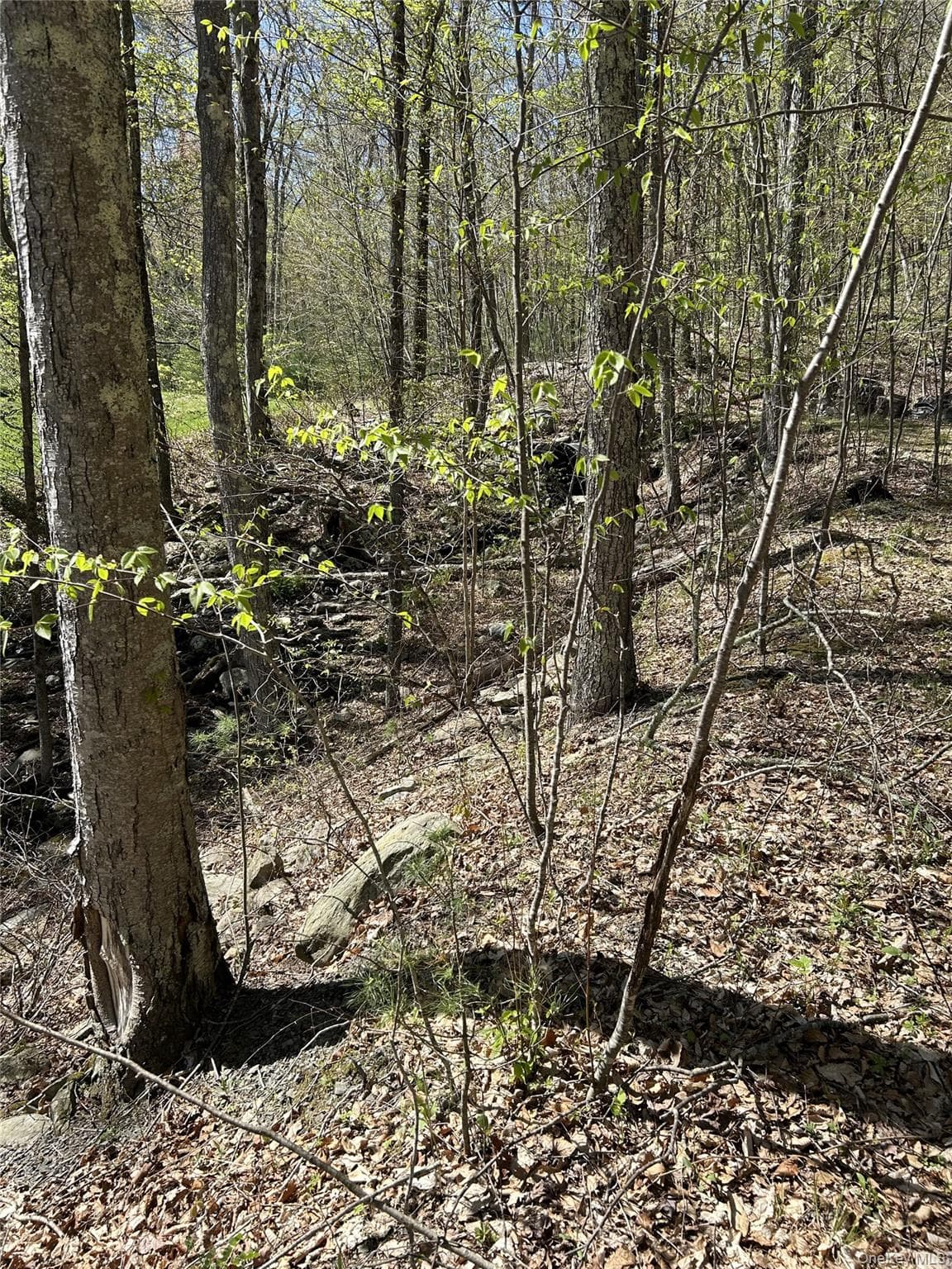 14 Hawk Mountain Drive photo 1
