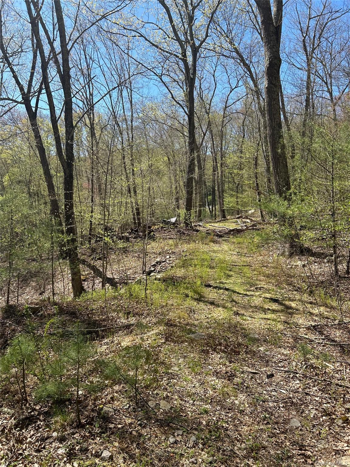 14 Hawk Mountain Drive thumbnail 22