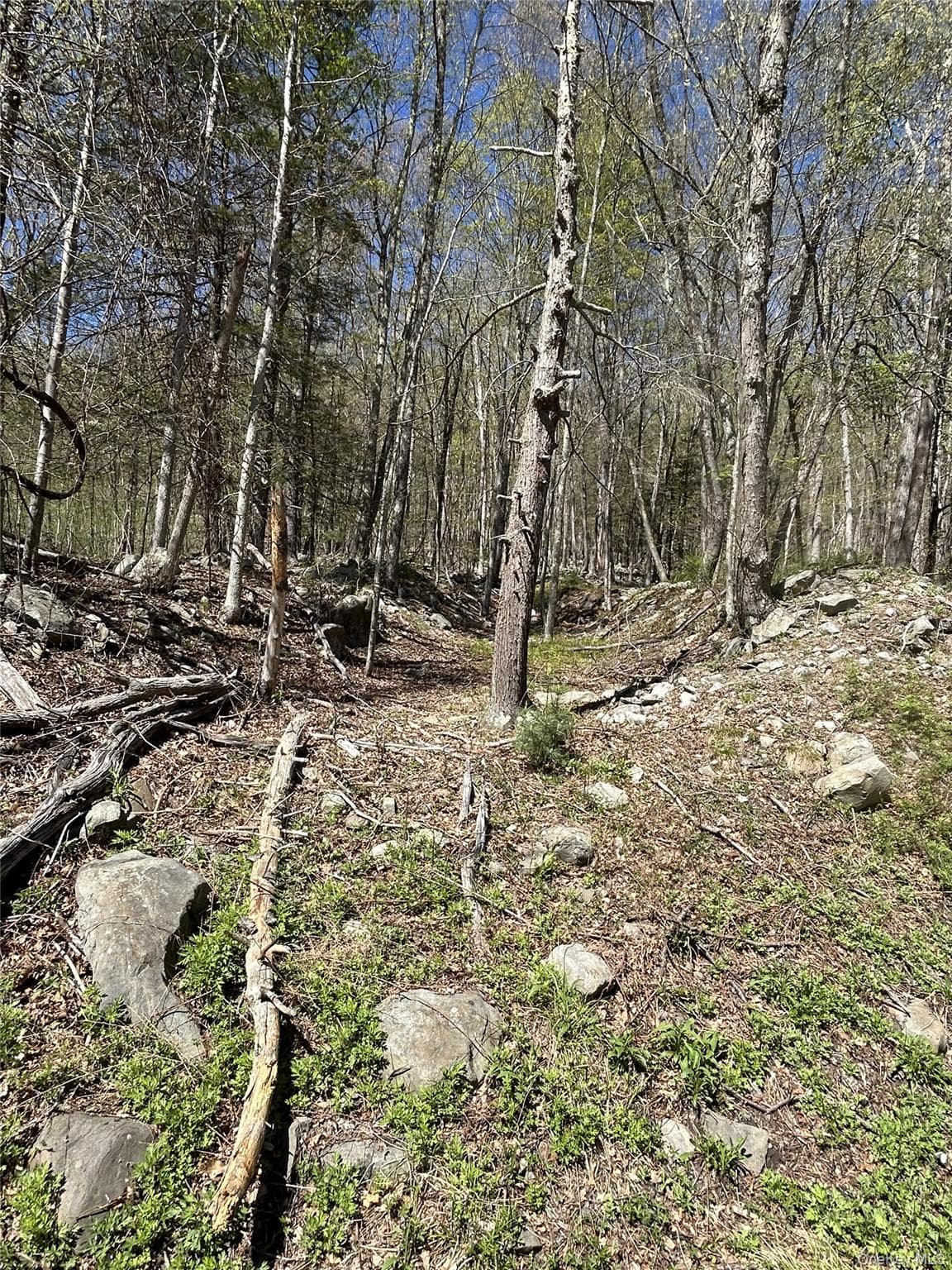 14 Hawk Mountain Drive thumbnail 10