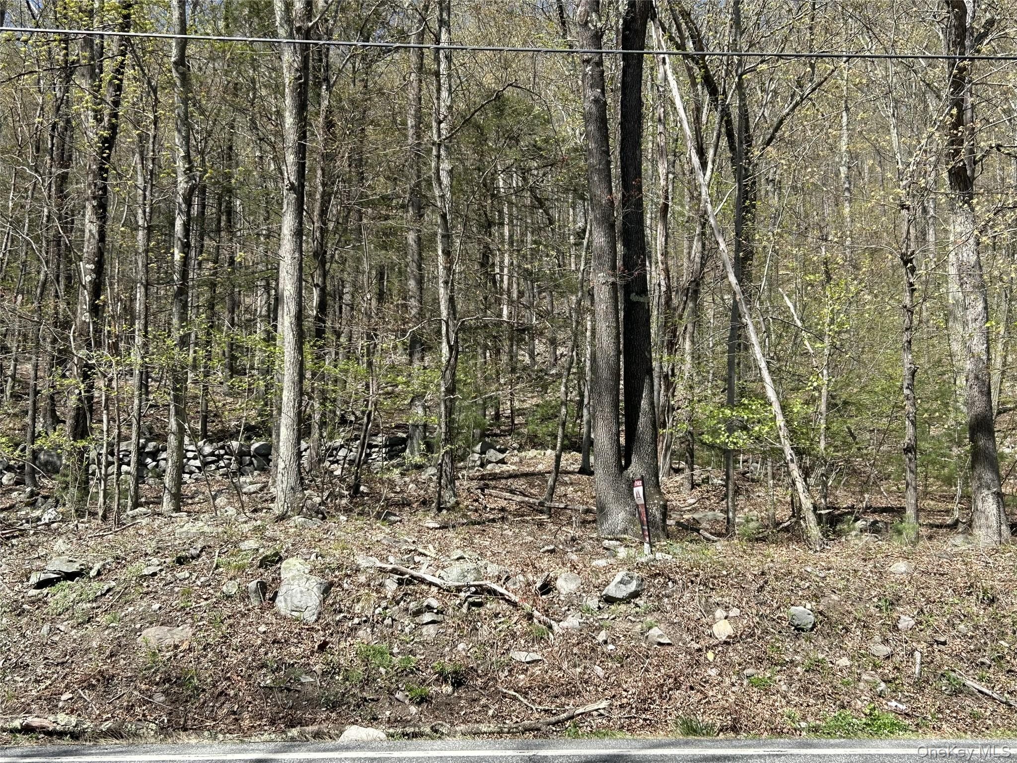 14 Hawk Mountain Drive thumbnail 3
