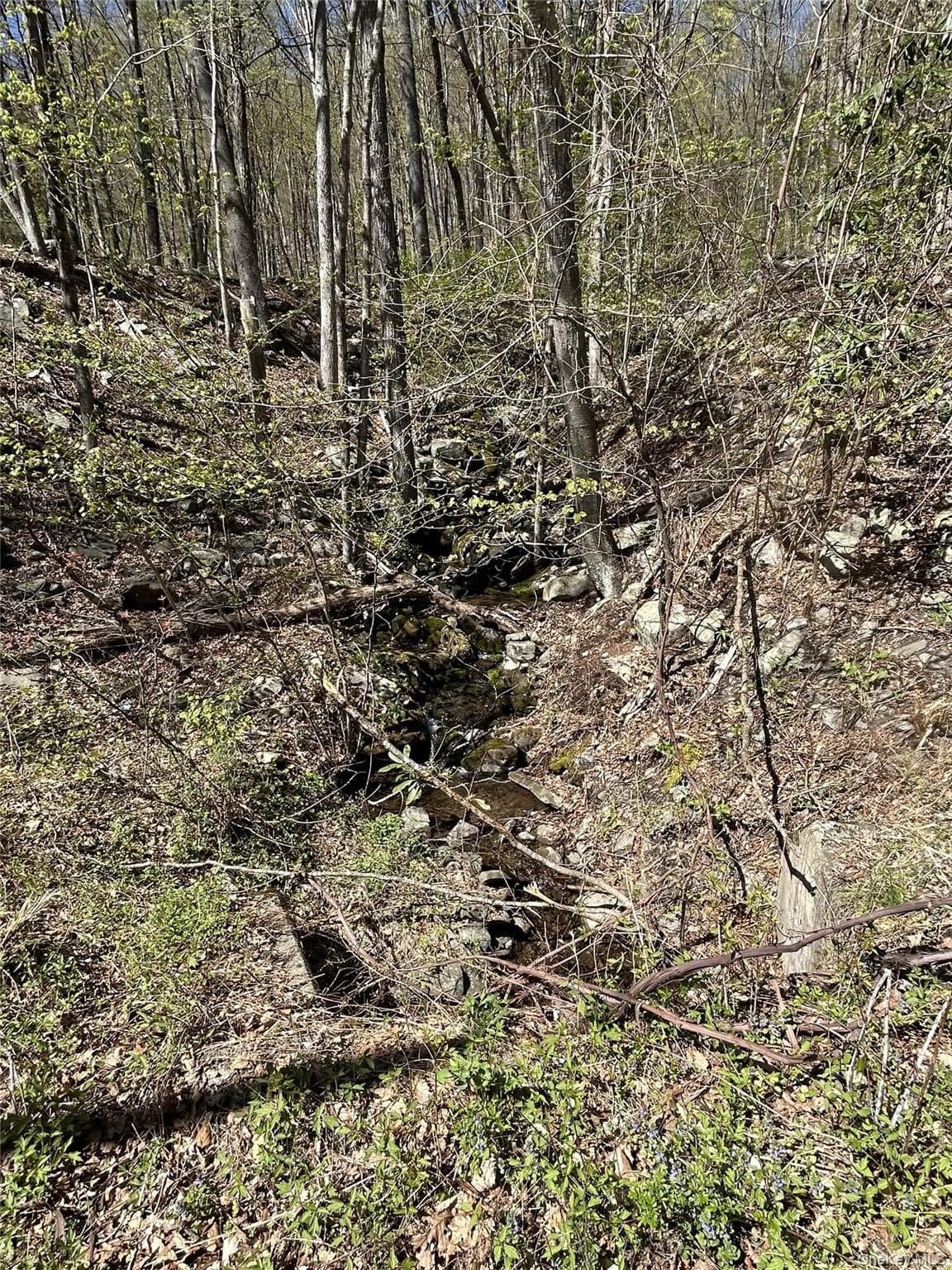 14 Hawk Mountain Drive thumbnail 7