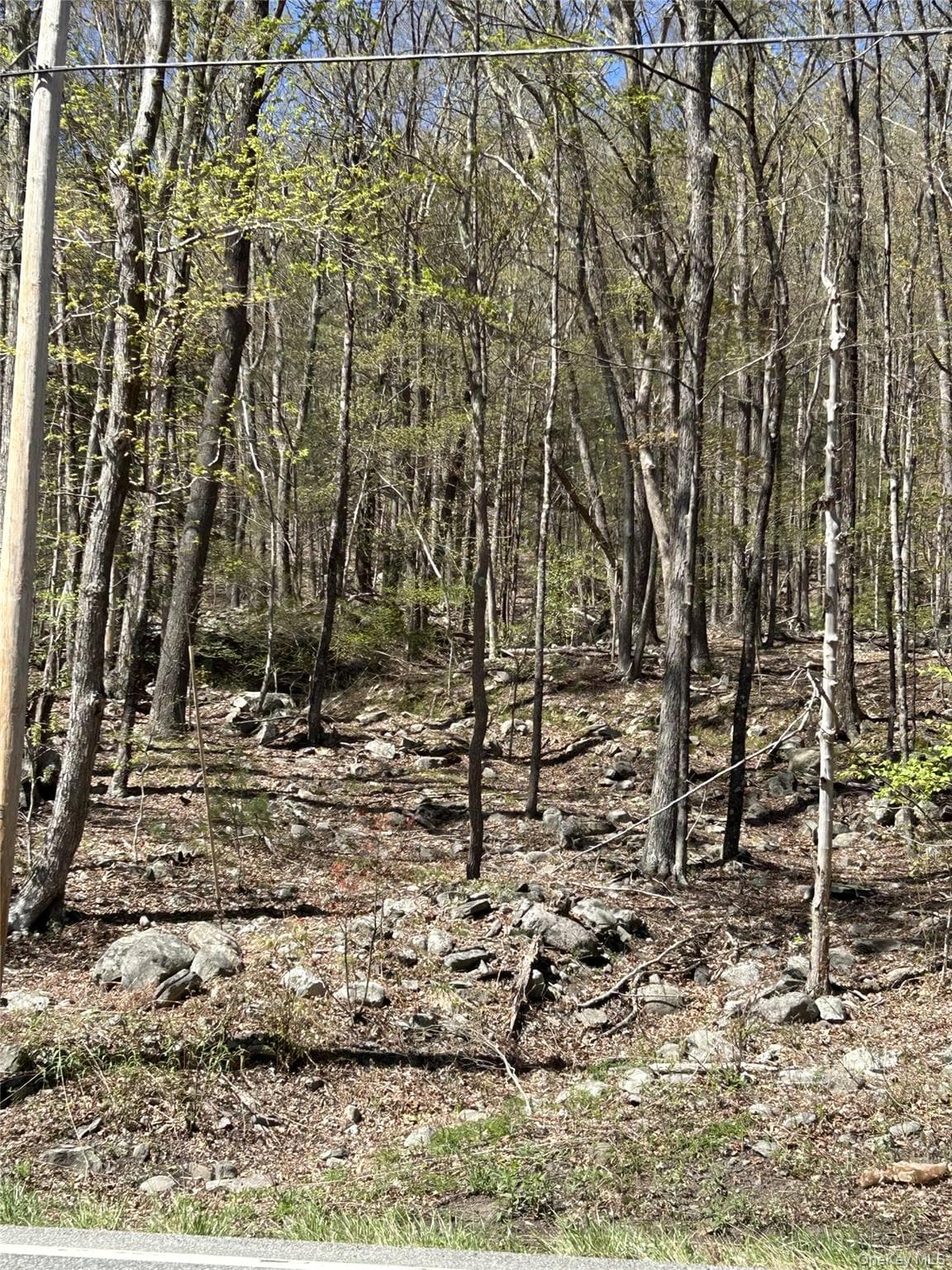 14 Hawk Mountain Drive thumbnail 5