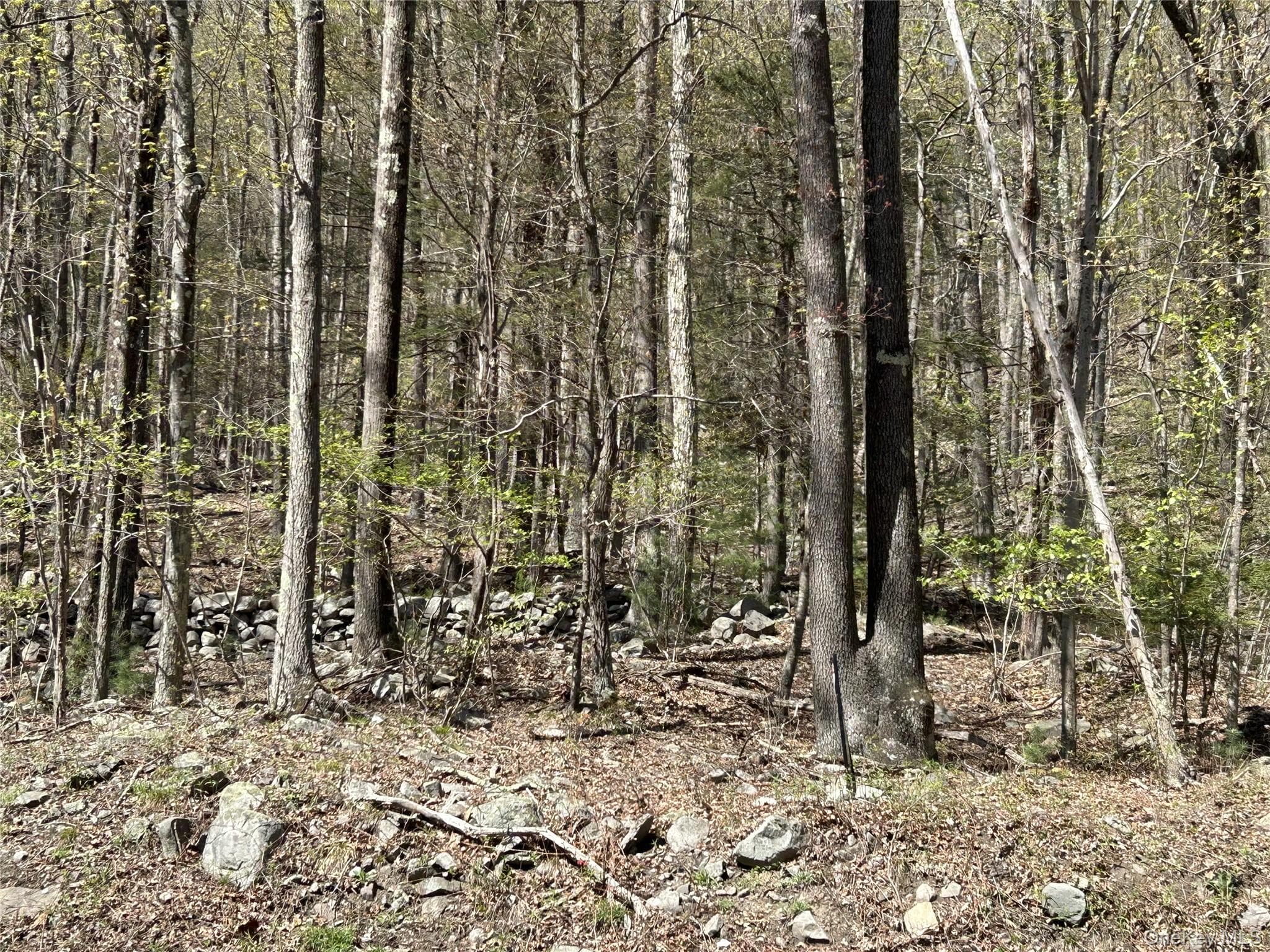 14 Hawk Mountain Drive thumbnail 4