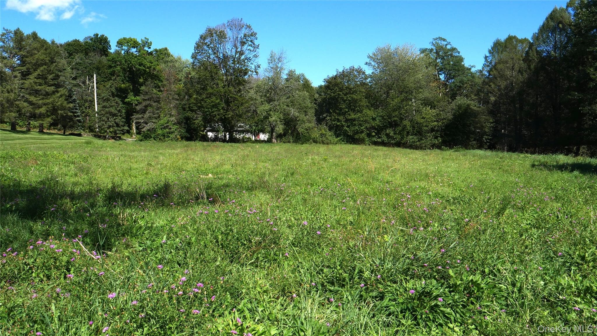 Wheeler Hill Road thumbnail 6