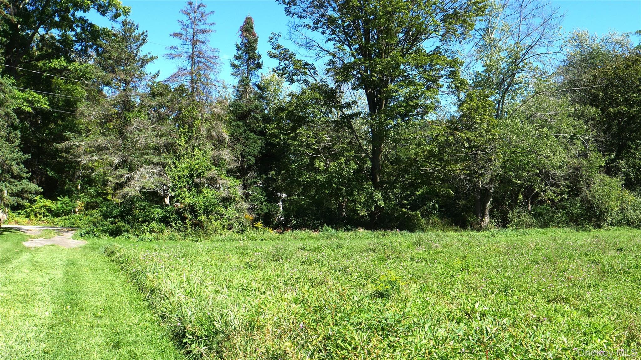 Wheeler Hill Road thumbnail 14