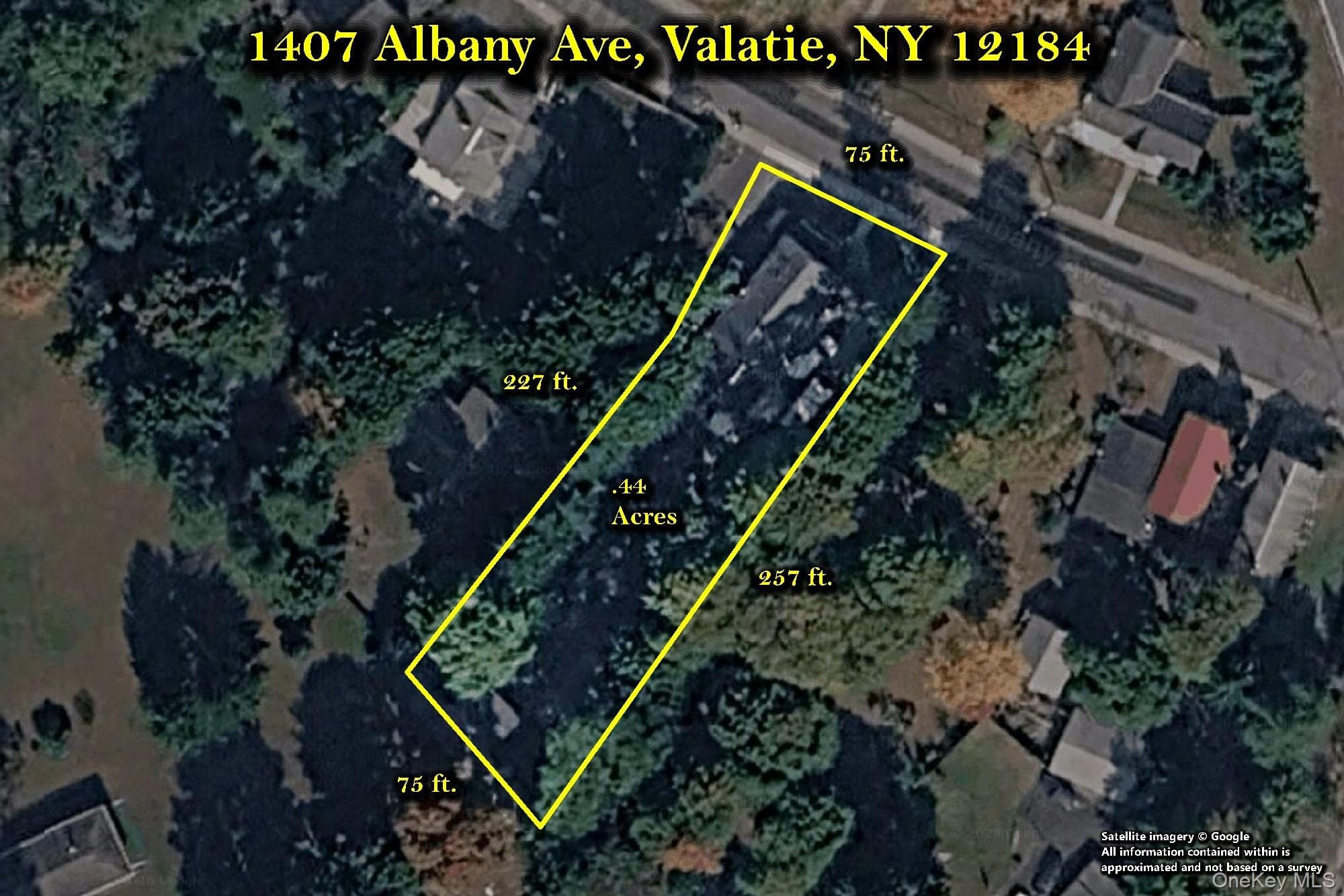 1407 Albany Avenue thumbnail 44