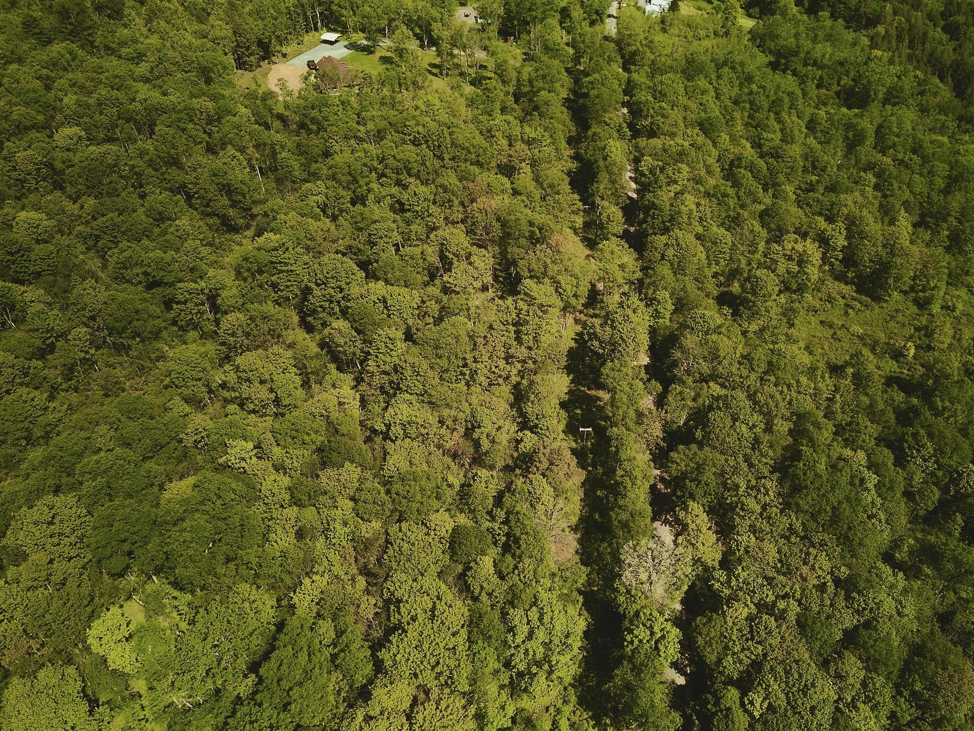 00 Benton Hollow RD thumbnail 3