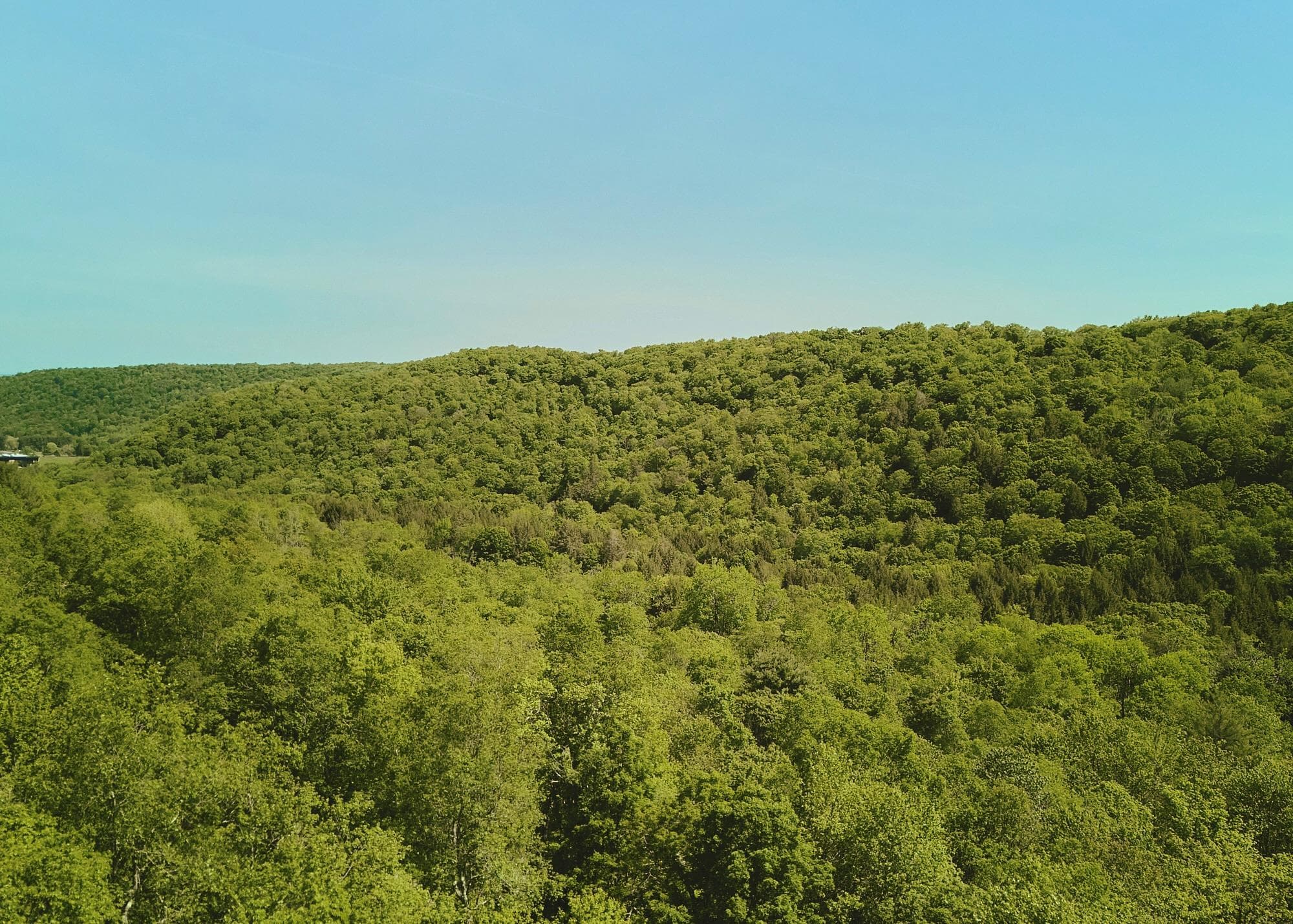 00 Benton Hollow RD thumbnail 15