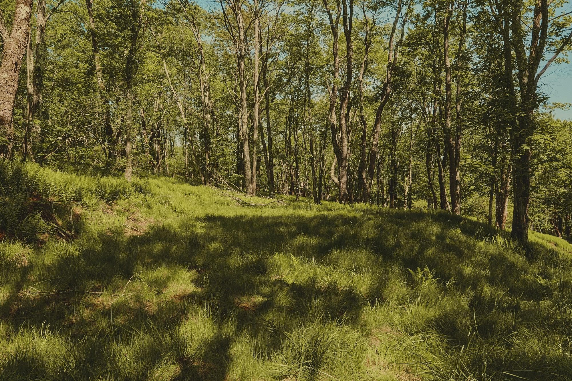 00 Benton Hollow RD thumbnail 9