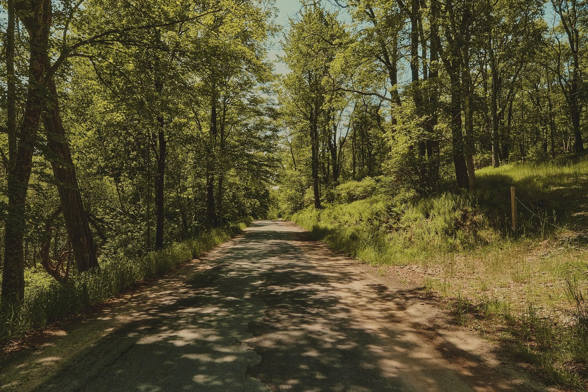 00 Benton Hollow RD thumbnail 13