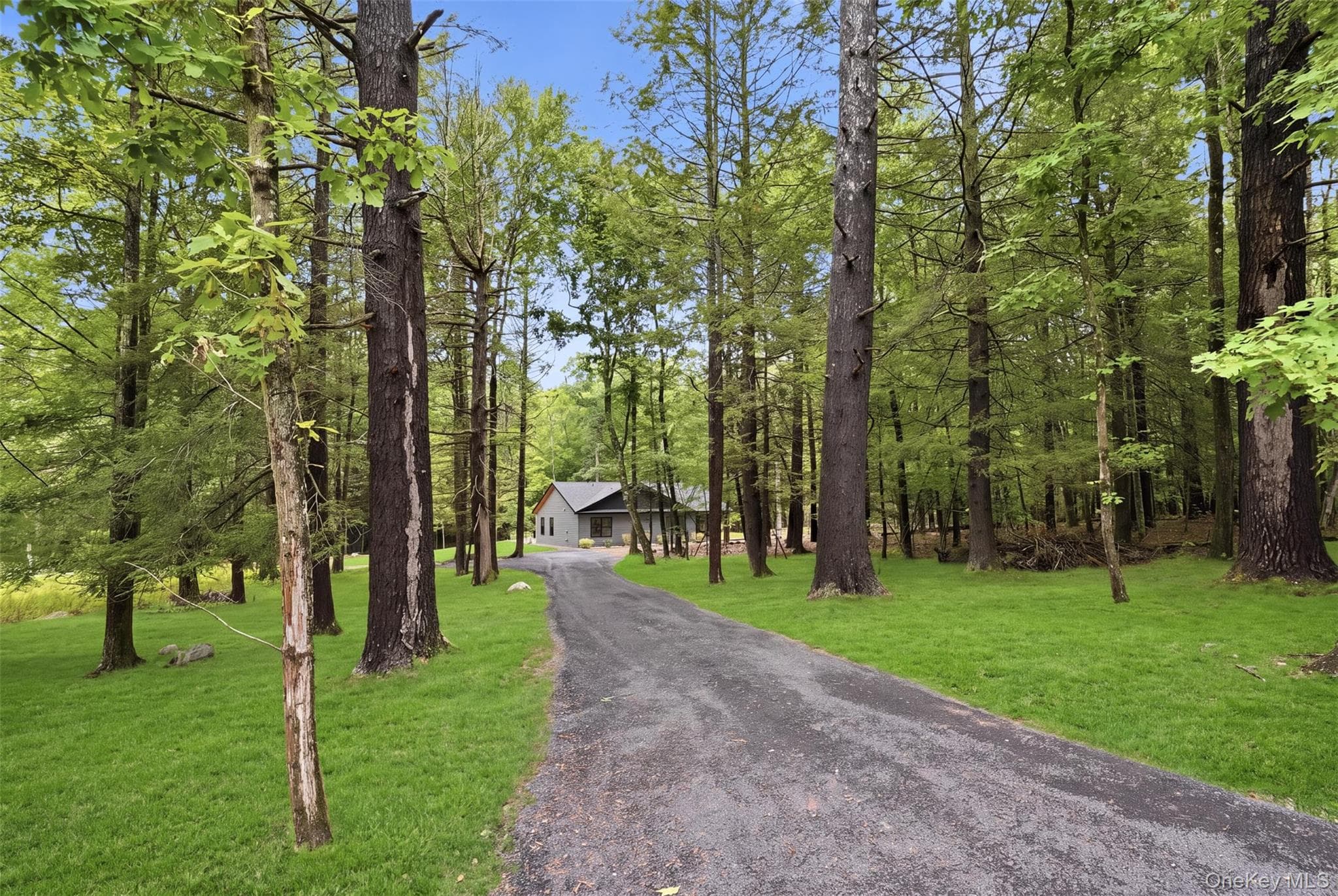 493 Samsonville Road thumbnail 28