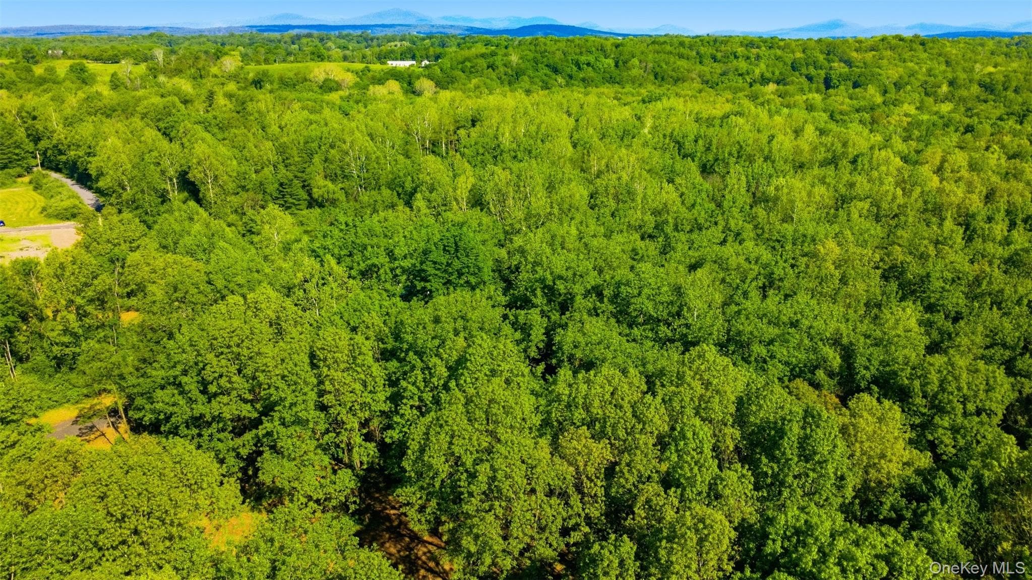 238 Bruceville Road thumbnail 8