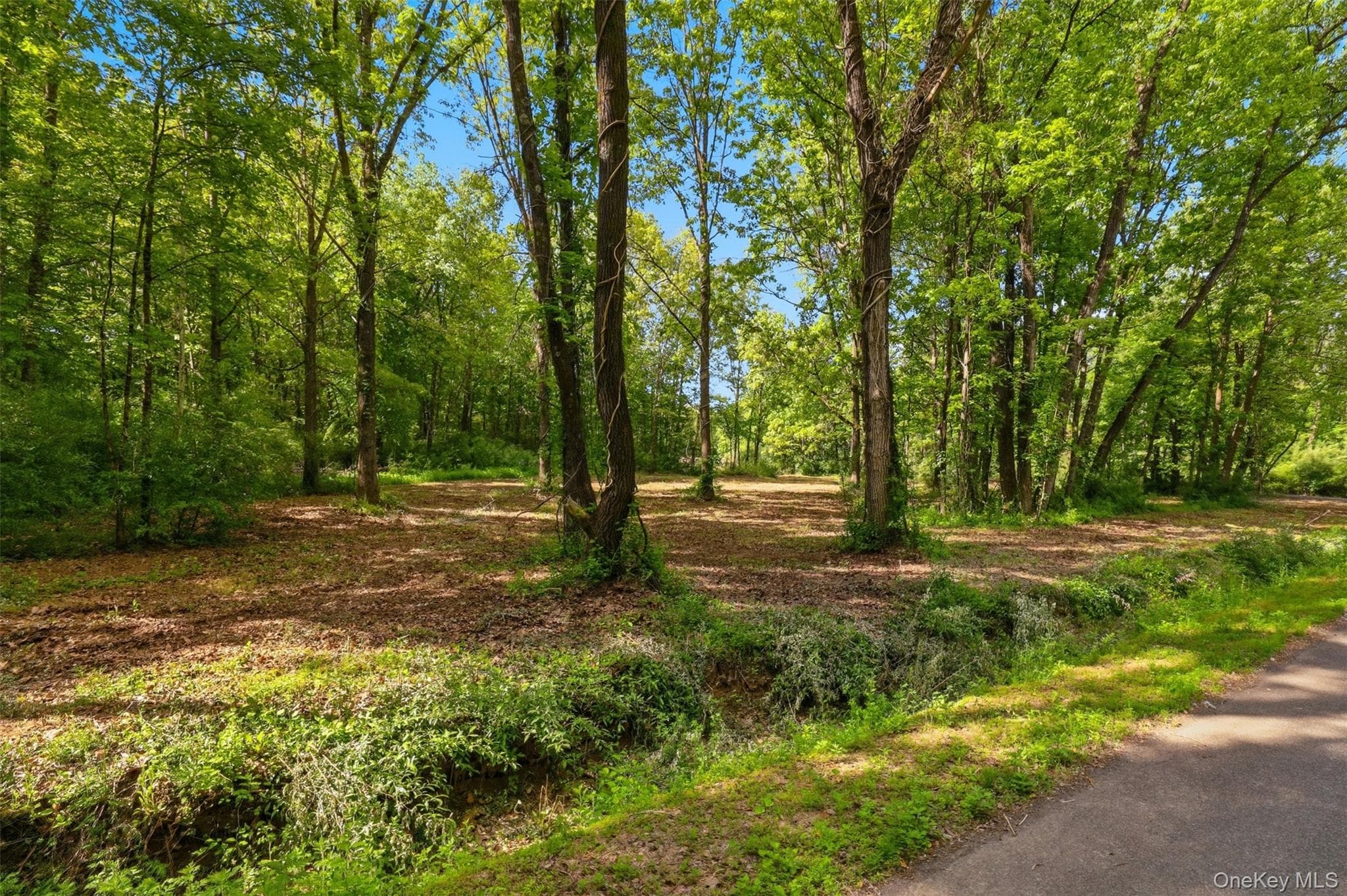 238 Bruceville Road thumbnail 15