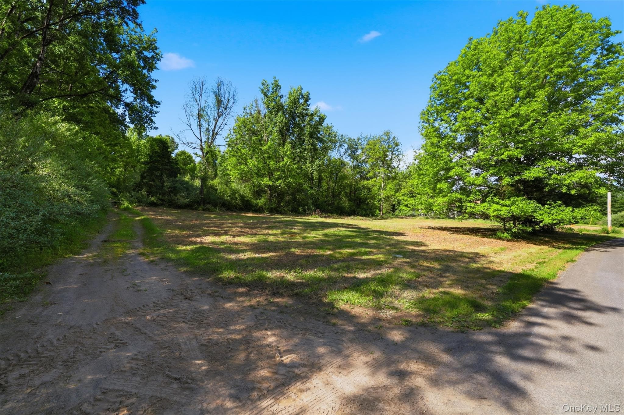 238 Bruceville Road thumbnail 11