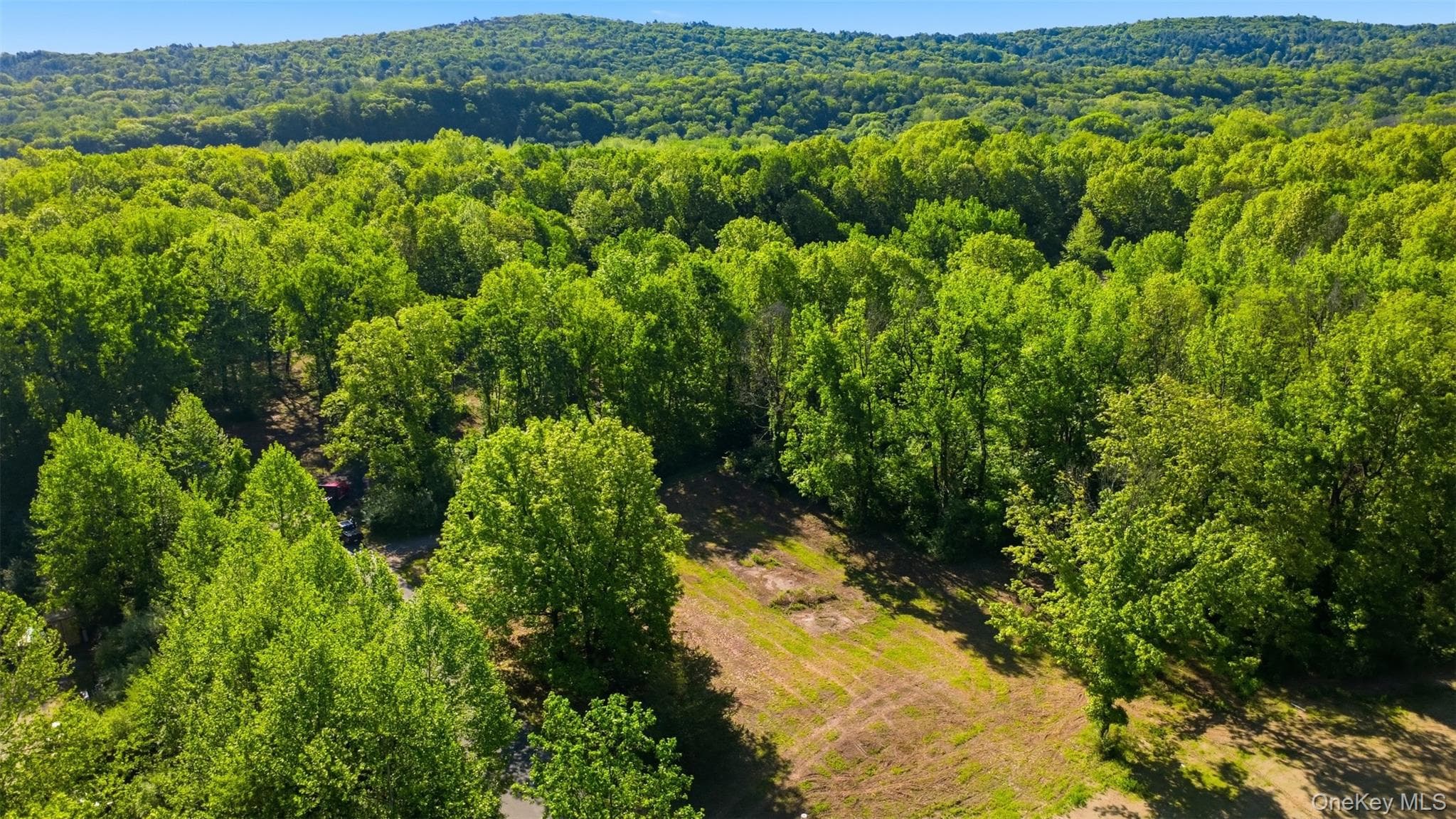 238 Bruceville Road thumbnail 6