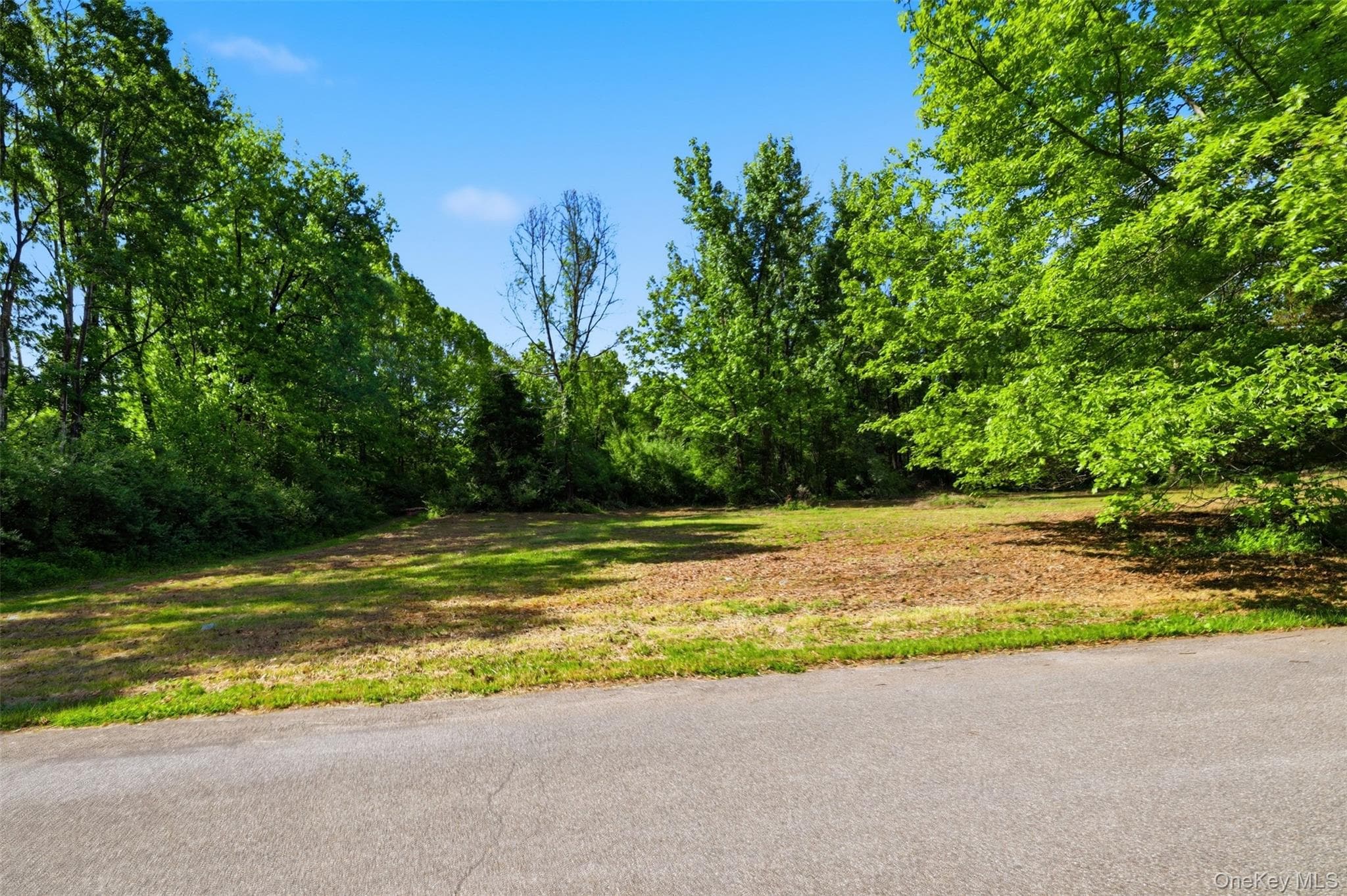 238 Bruceville Road thumbnail 12