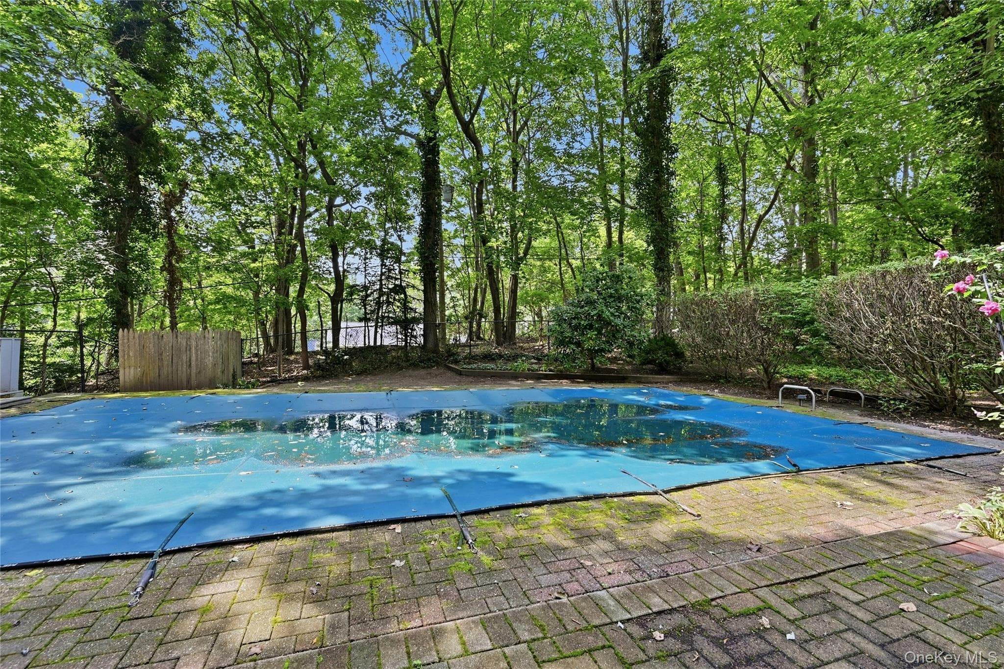 31 Sands Lane thumbnail 35