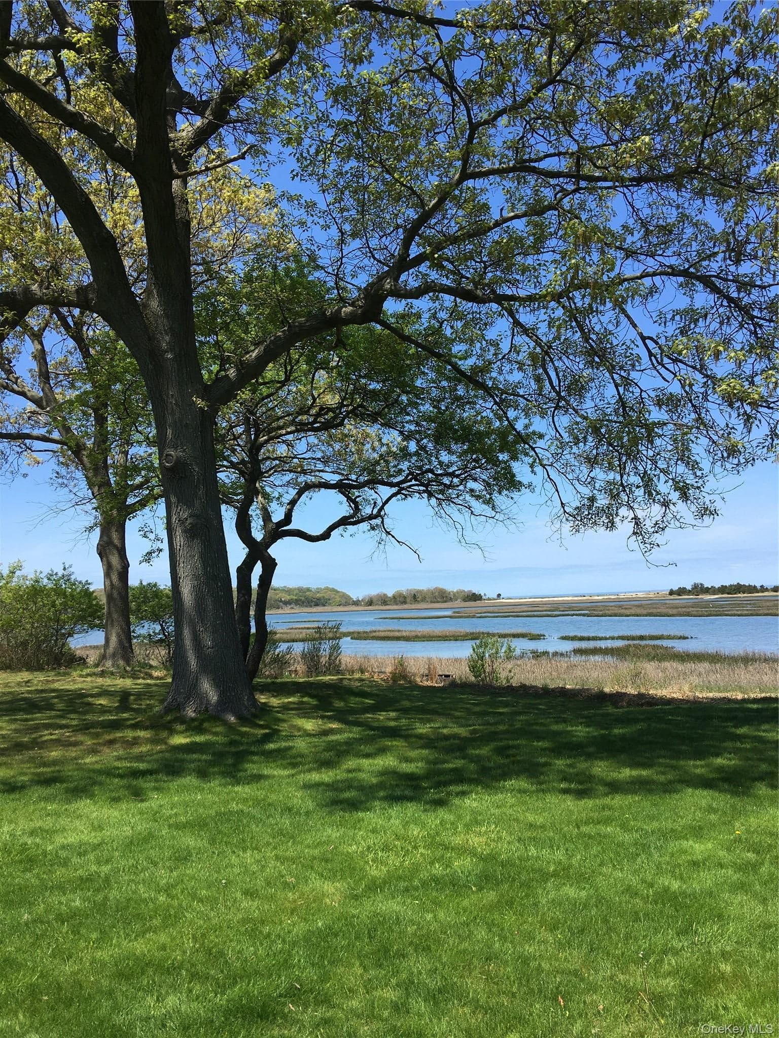 5 Shore Drive thumbnail 31