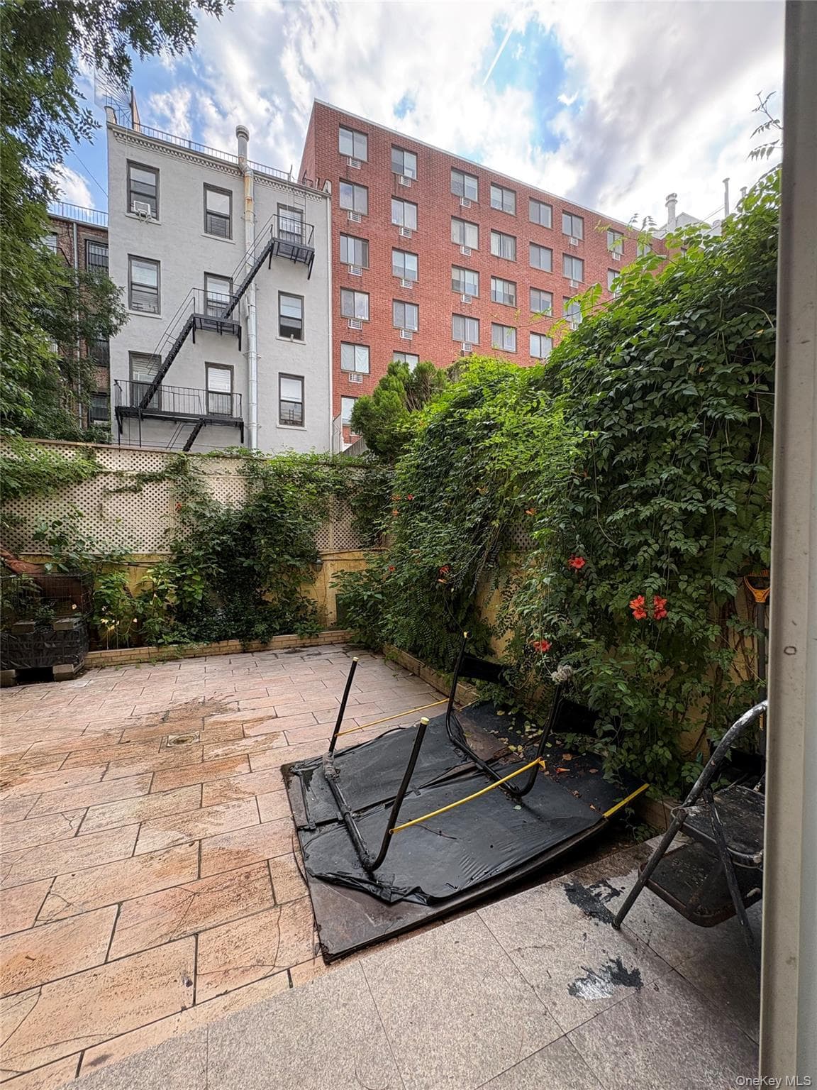 344 E 120th Street thumbnail 7
