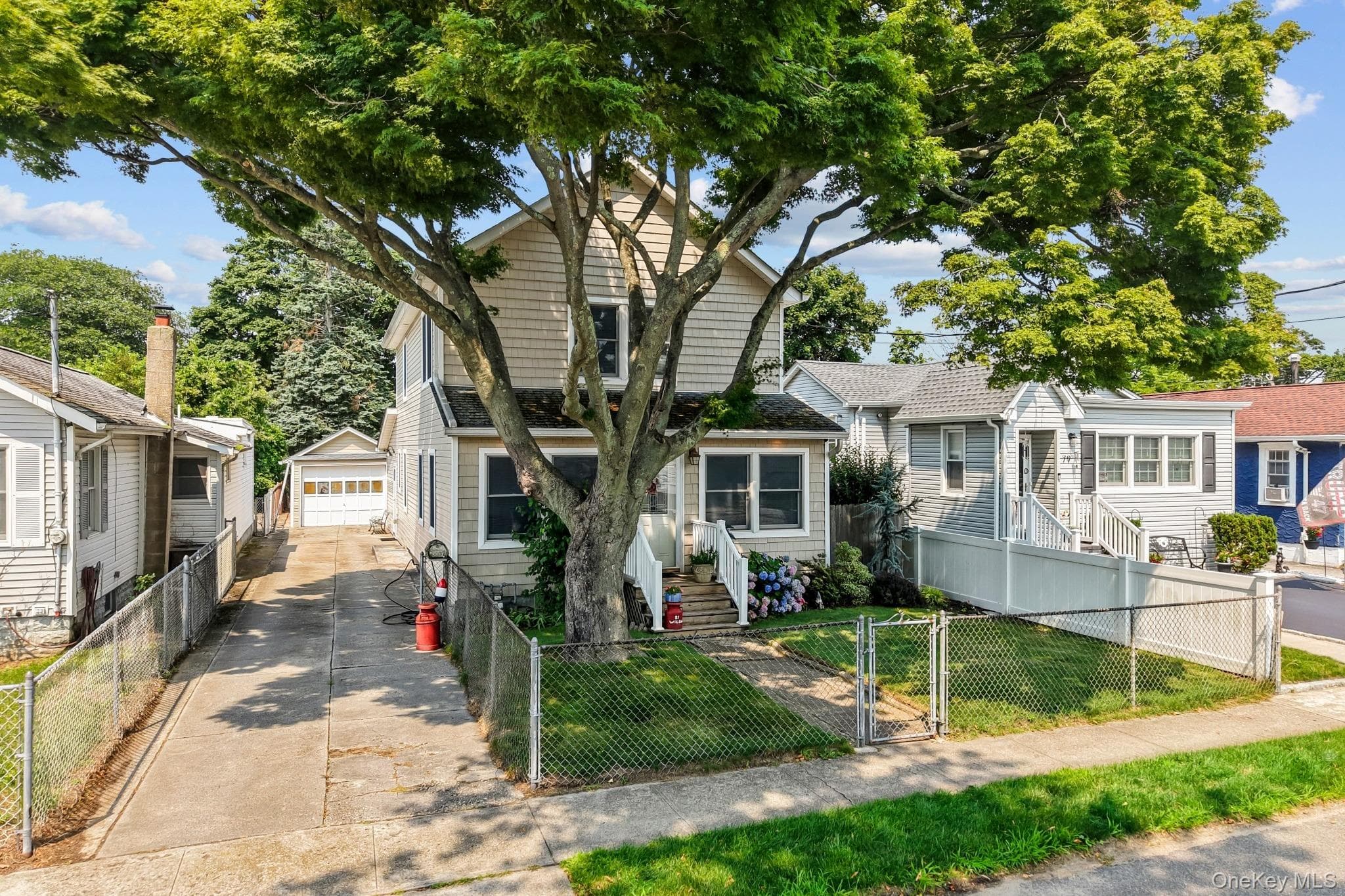 81 Wilson Avenue thumbnail 5