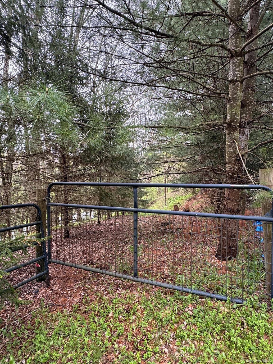 395 Federal Hill Rd 1 thumbnail 17
