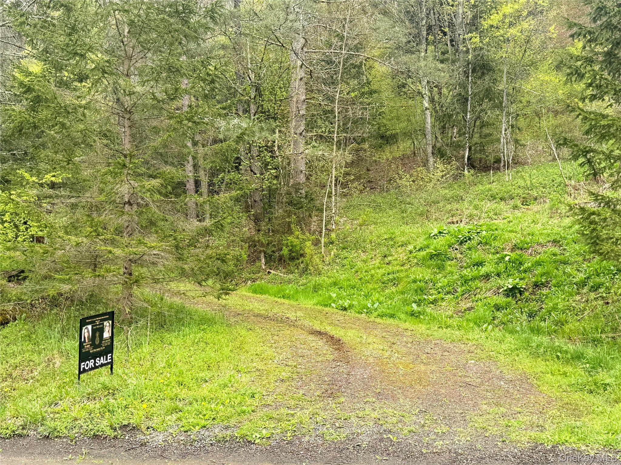 395 Federal Hill Rd 1 thumbnail 19