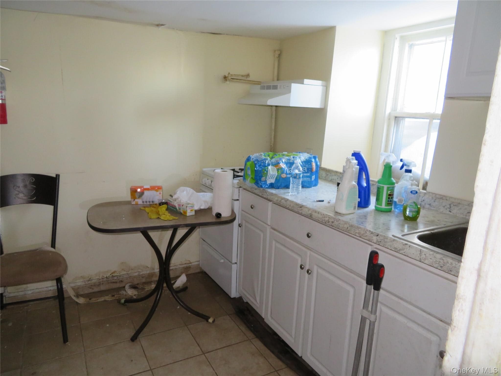 125 Hudson Terrace thumbnail 8