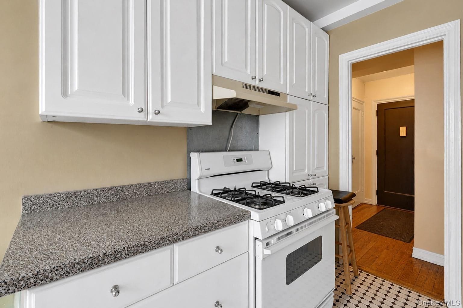 433 W 34th Street Unit: 2N thumbnail 10