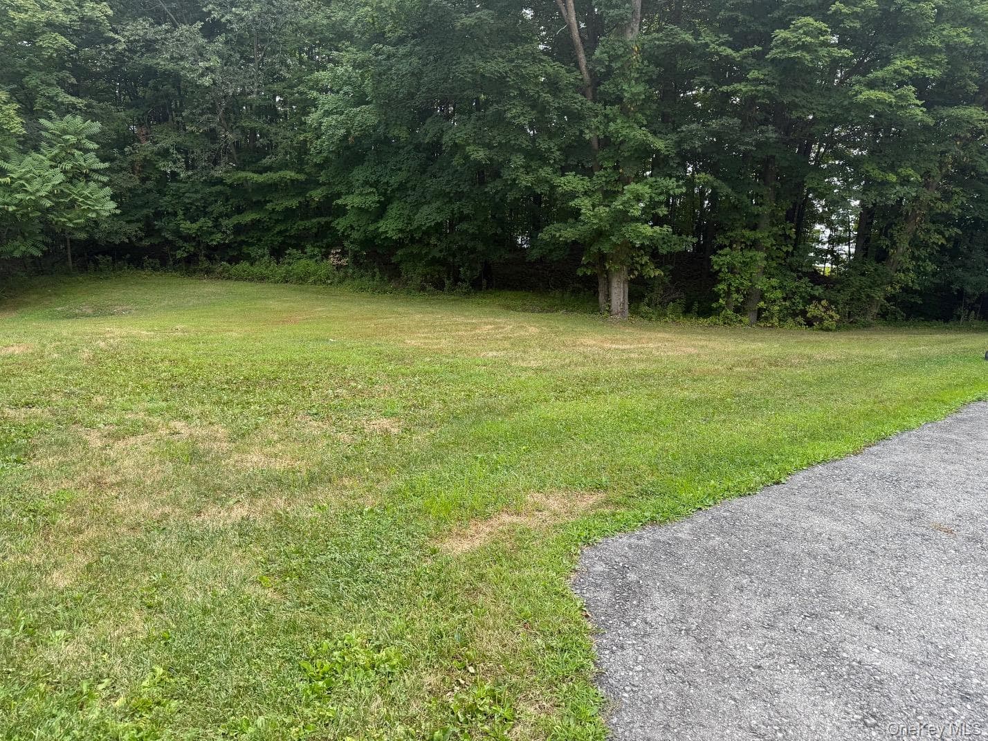 568 County Route 49 Unit: 2C thumbnail 27