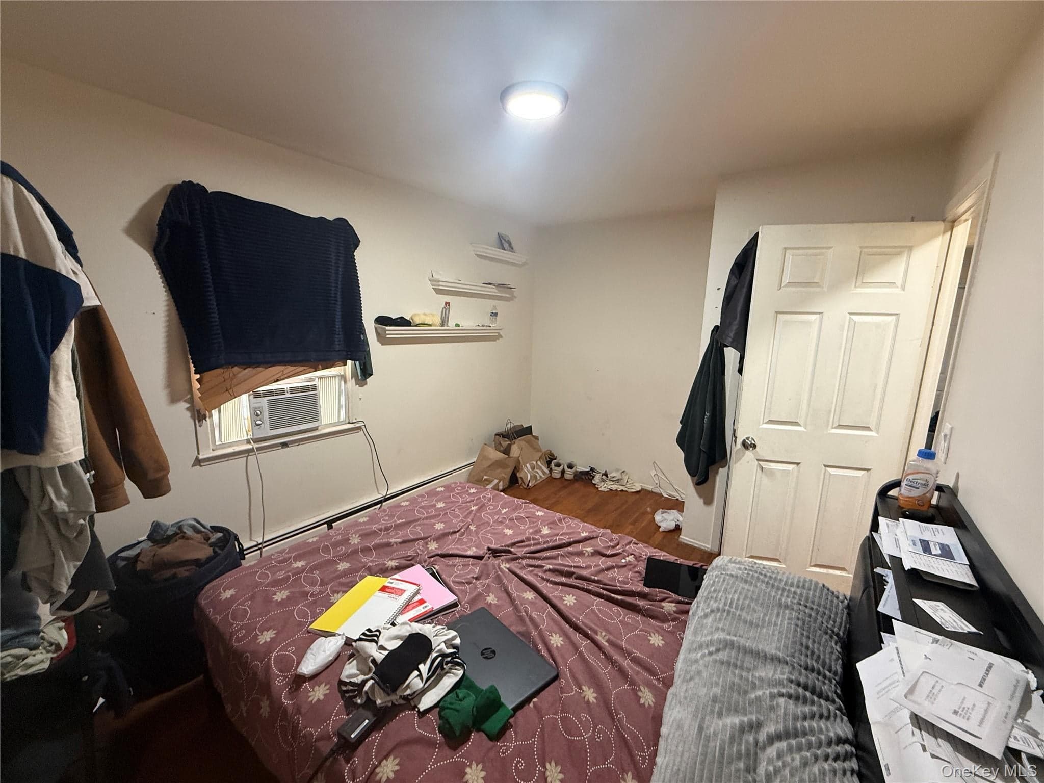 249-02 Weller Avenue thumbnail 19