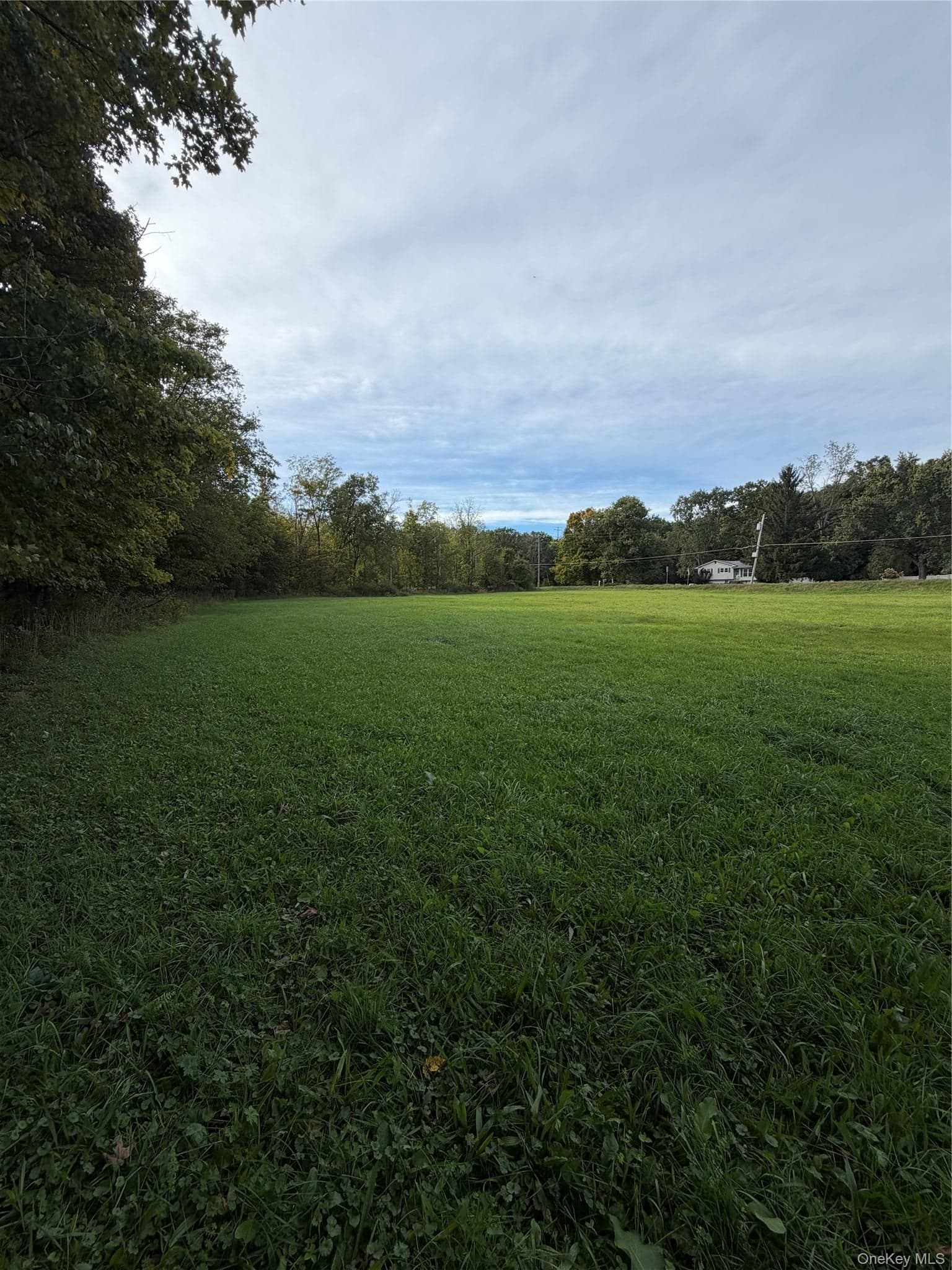 539 (Lot 1) Mt Orange Road thumbnail 7
