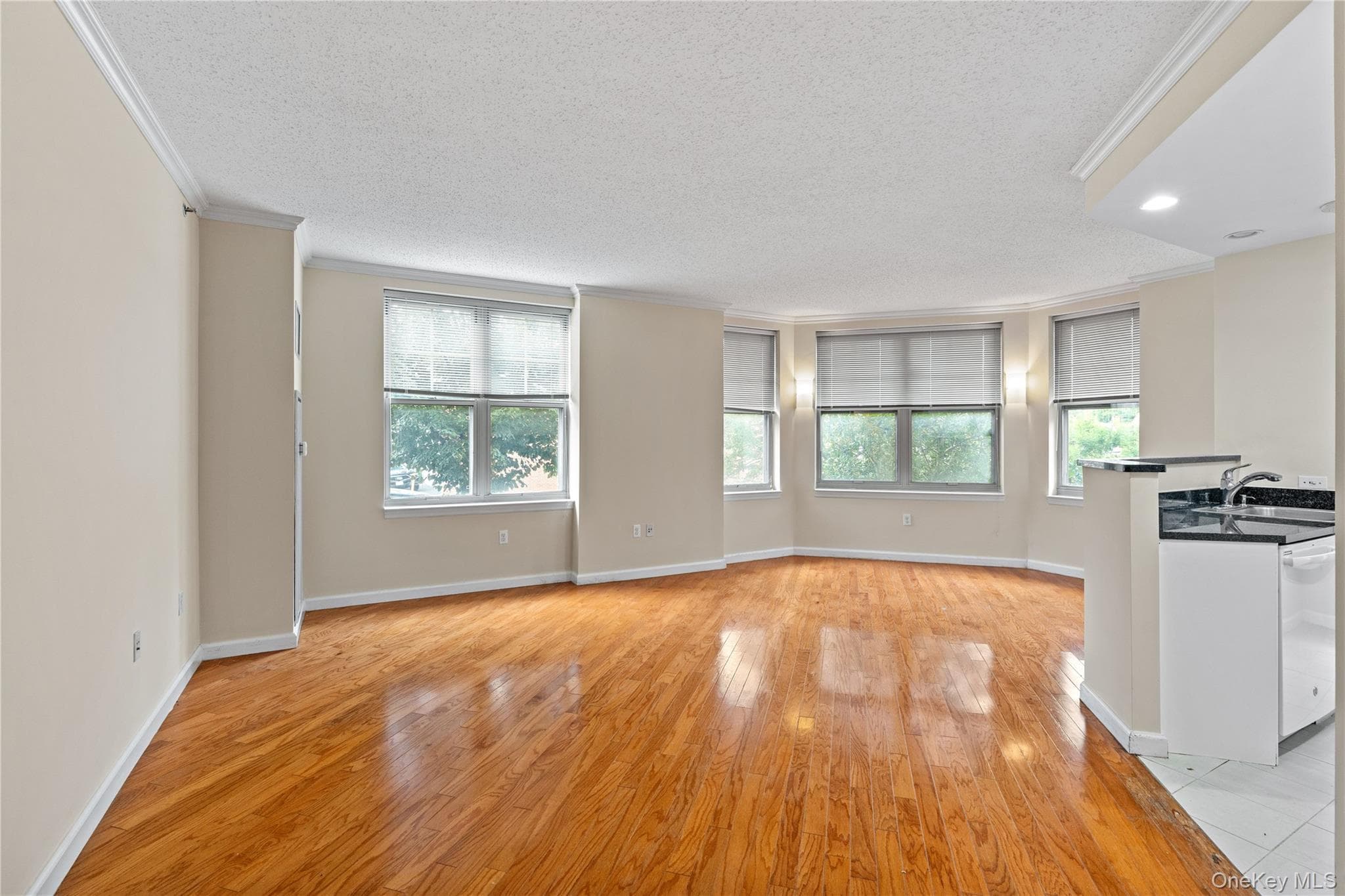 300 Mamaroneck Avenue Unit: 201 thumbnail 9