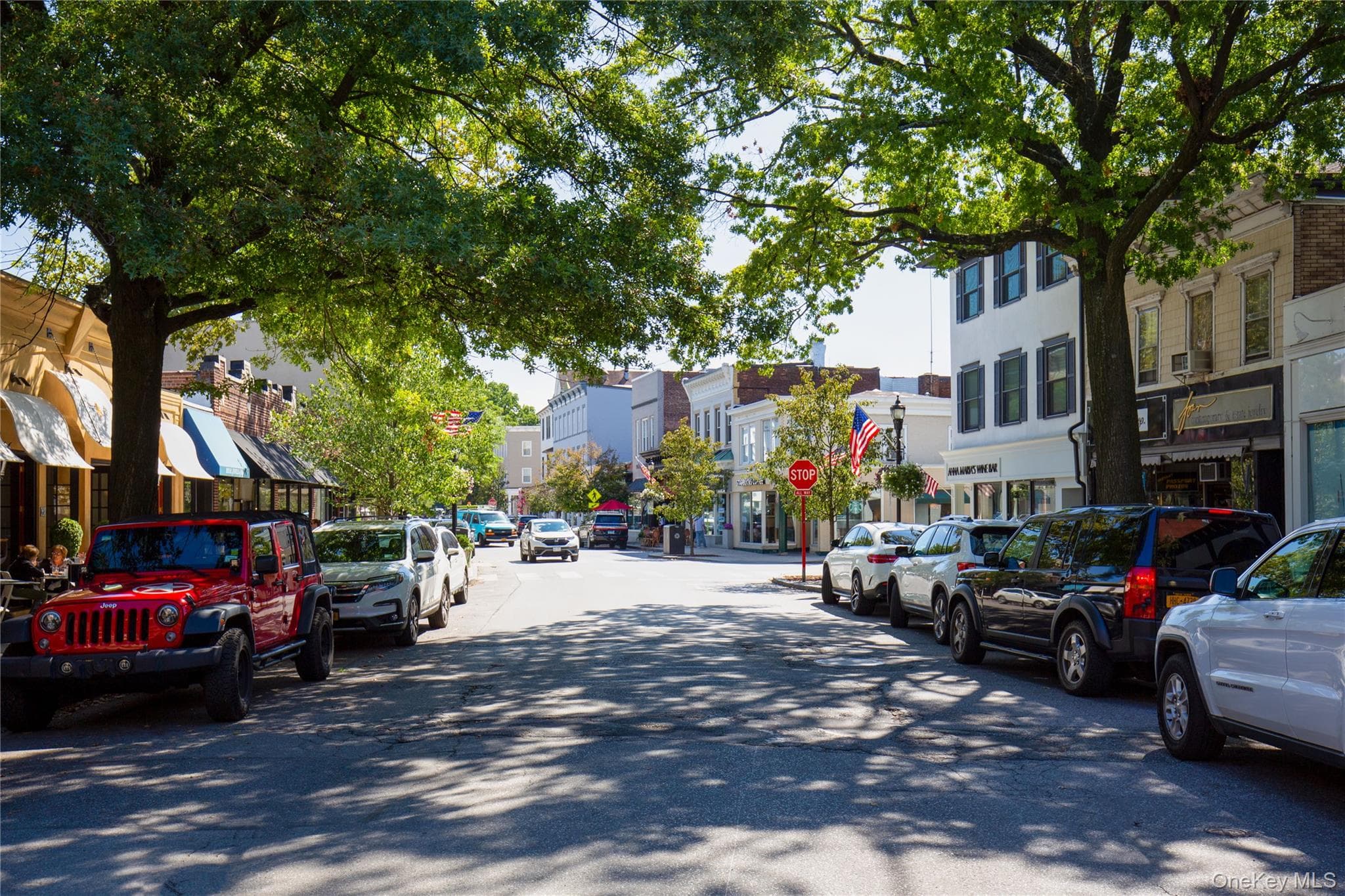 321 Locust Avenue thumbnail 7