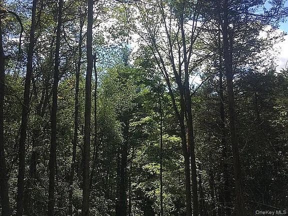 410 County Rt. 25 thumbnail 10