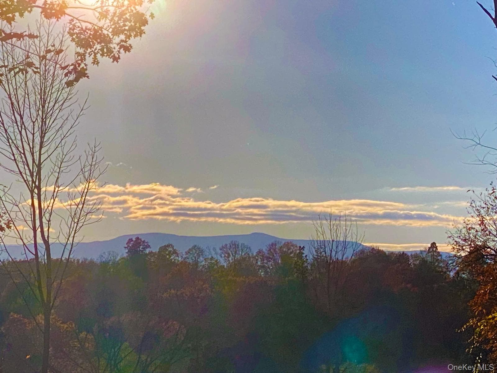410 County Rt. 25 thumbnail 7