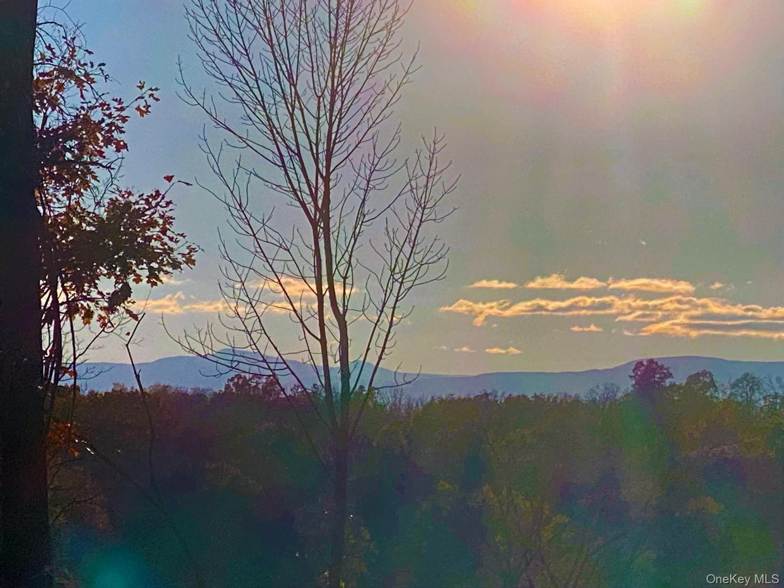 410 County Rt. 25 thumbnail 18