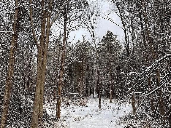 410 County Rt. 25 thumbnail 15