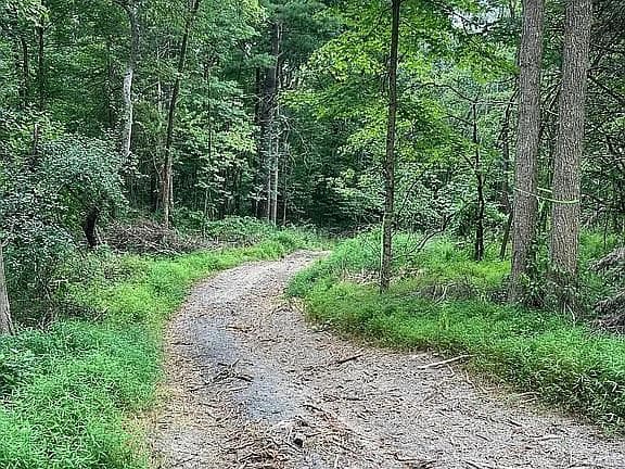 410 County Rt. 25 thumbnail 13