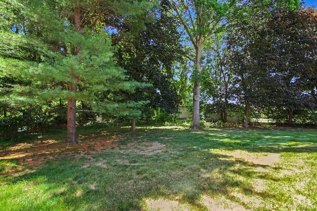 101 Elmcrest Drive thumbnail 35
