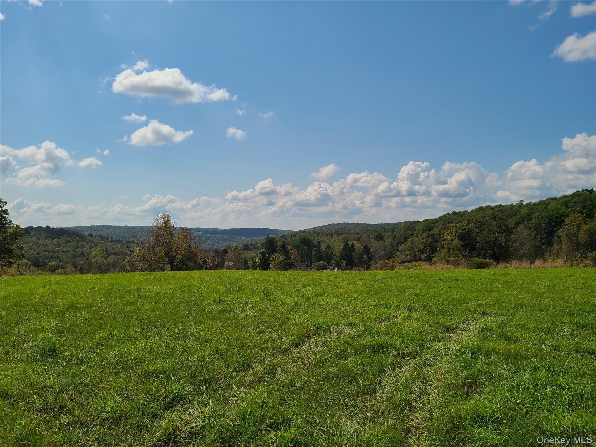 356 Gabel Road thumbnail 22