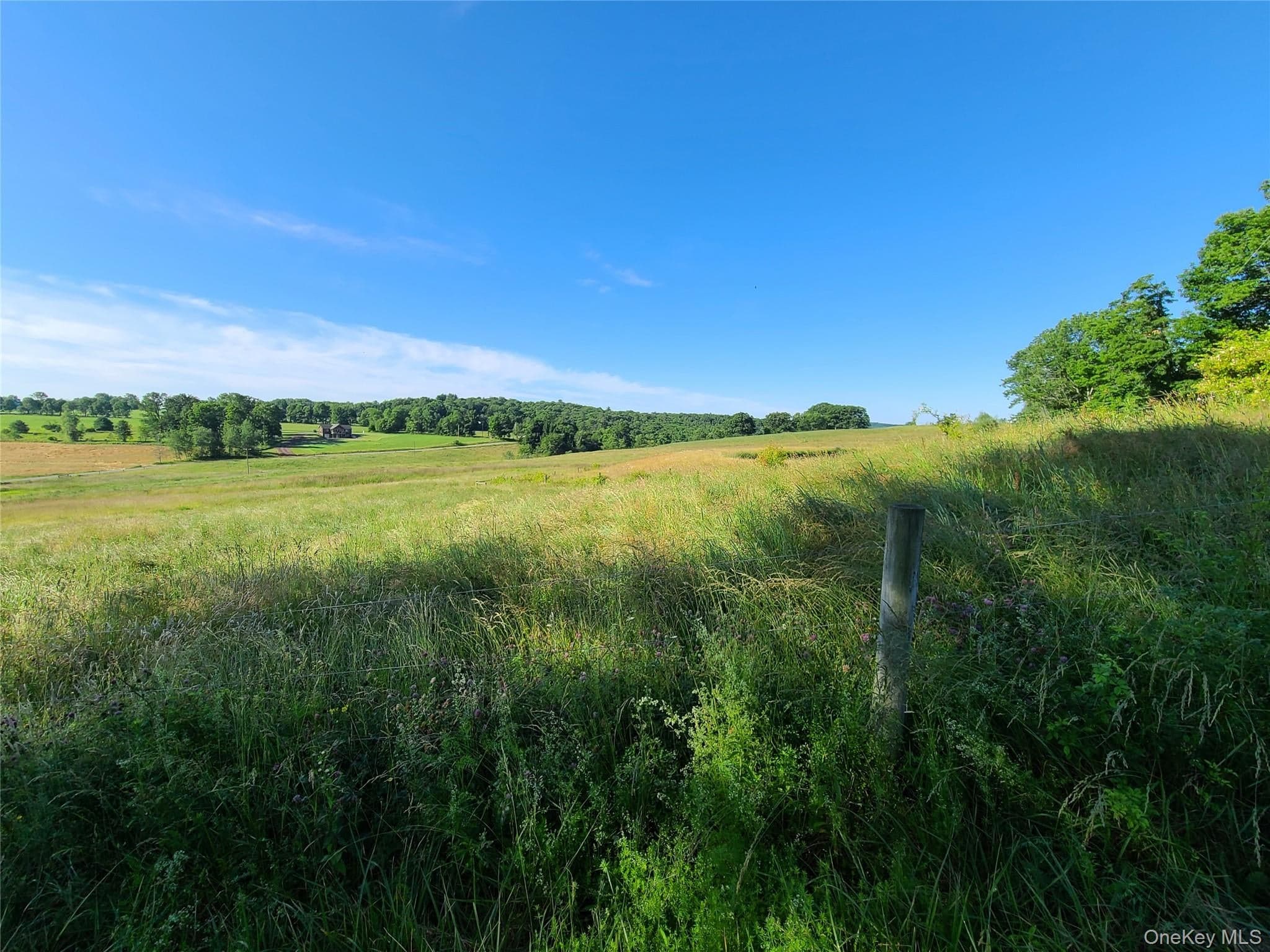 356 Gabel Road thumbnail 28