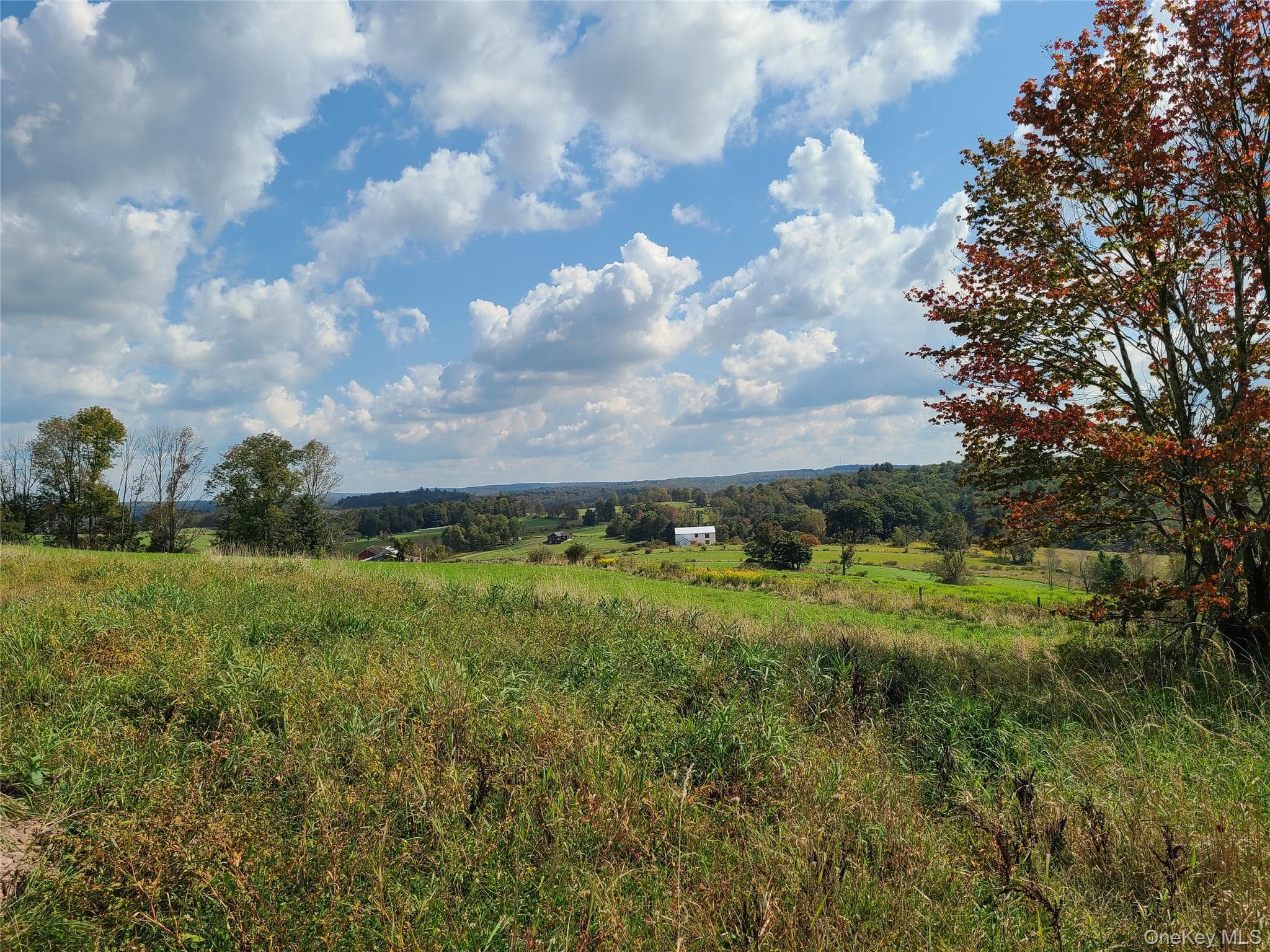 356 Gabel Road thumbnail 41