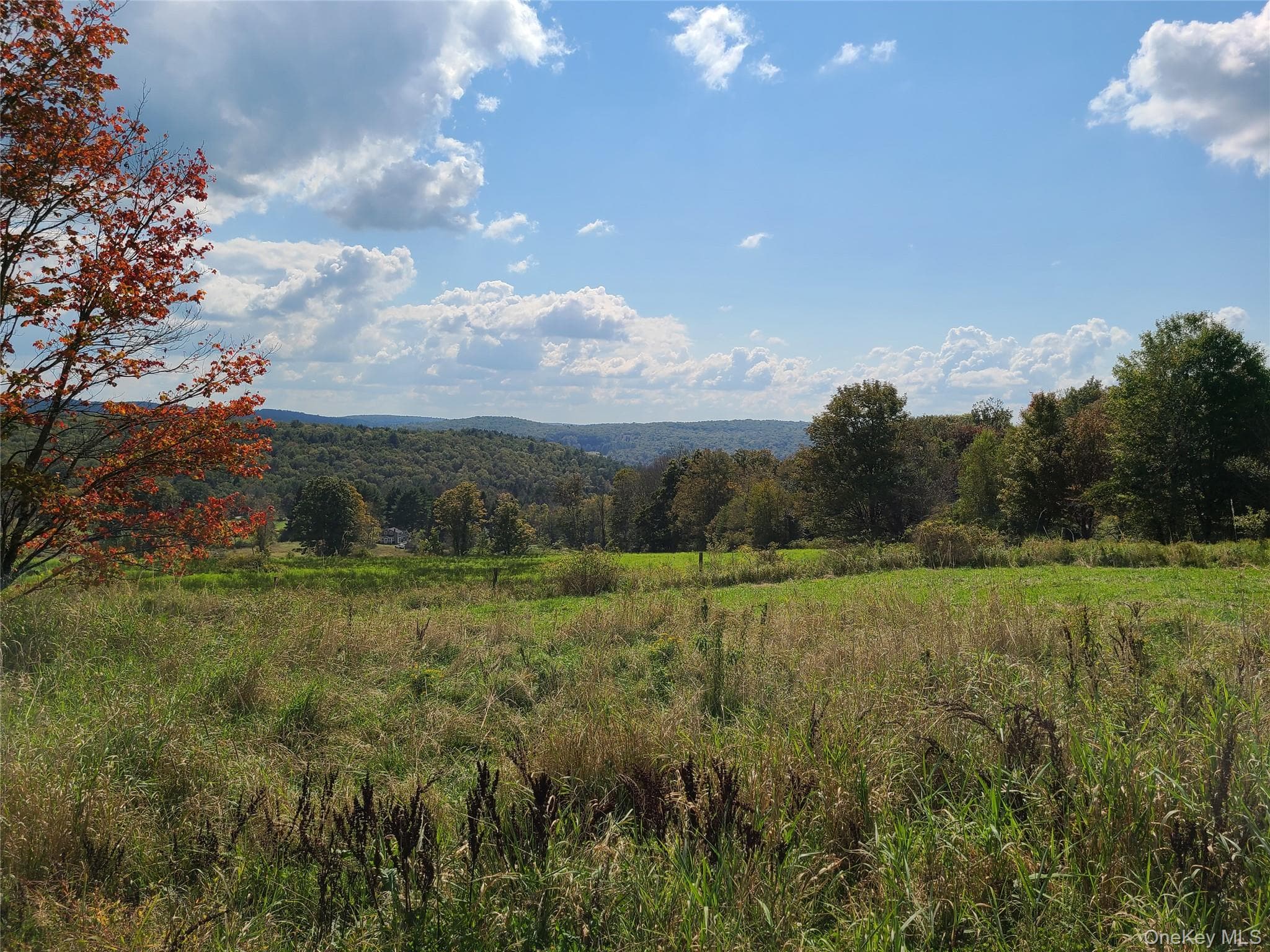 356 Gabel Road thumbnail 42
